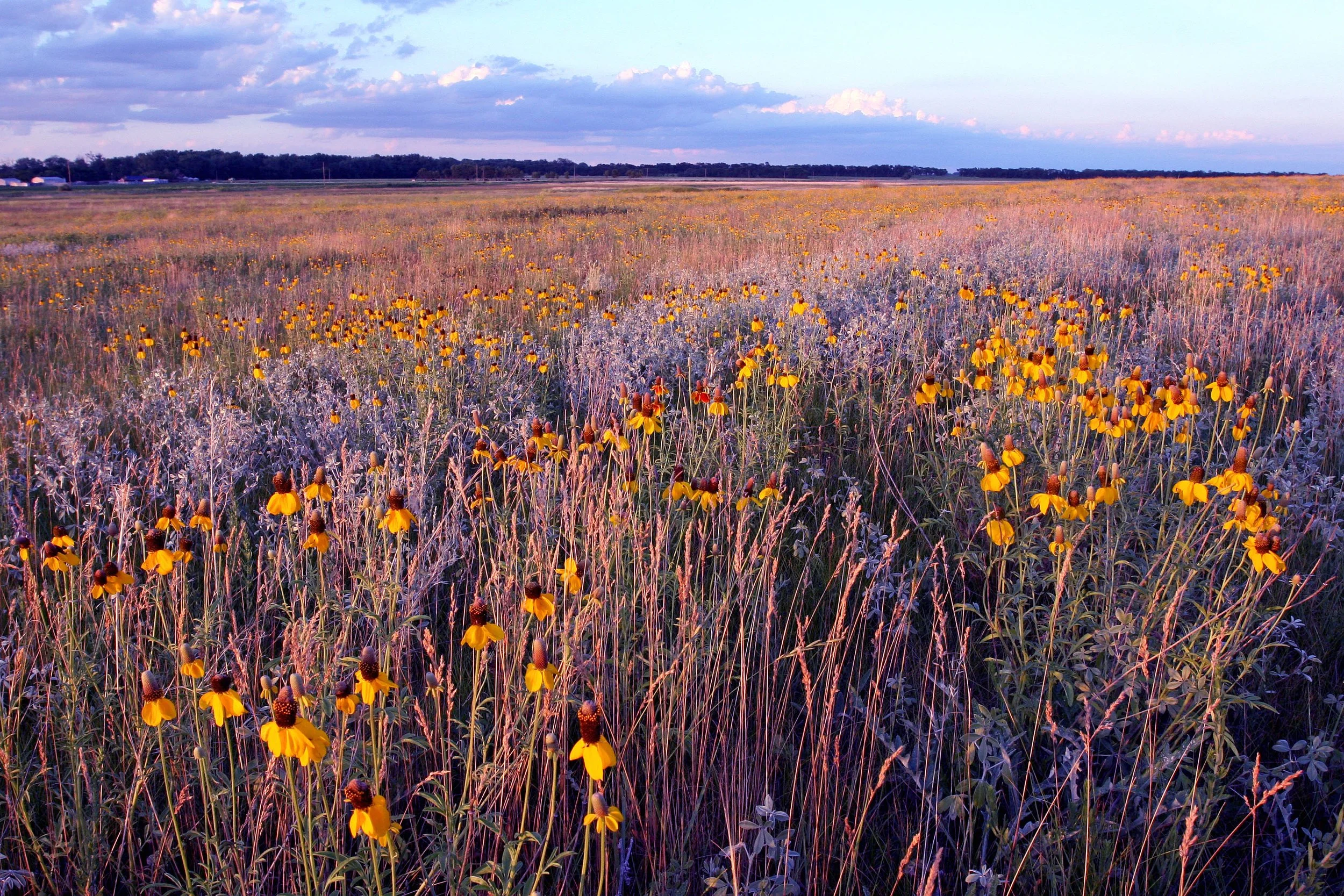 USFWS Mountain-Prairie, Public domain, via Wikimedia Commons.jpg