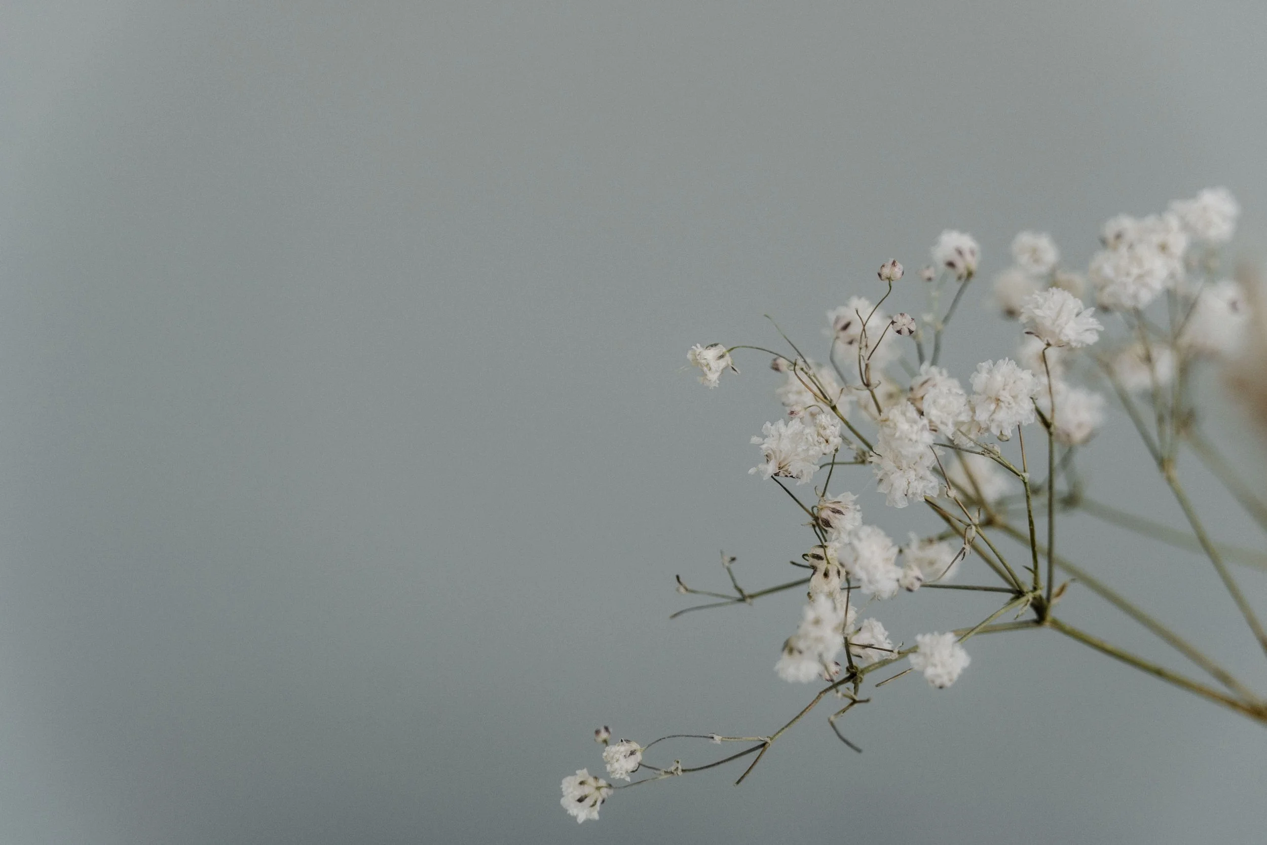 Blogeintrag: Titel Eins