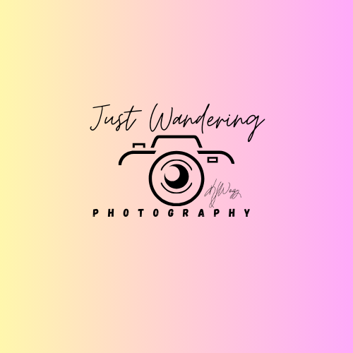 Just Wandering Photography
