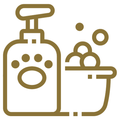 McCord Square Apartments Pet Spa