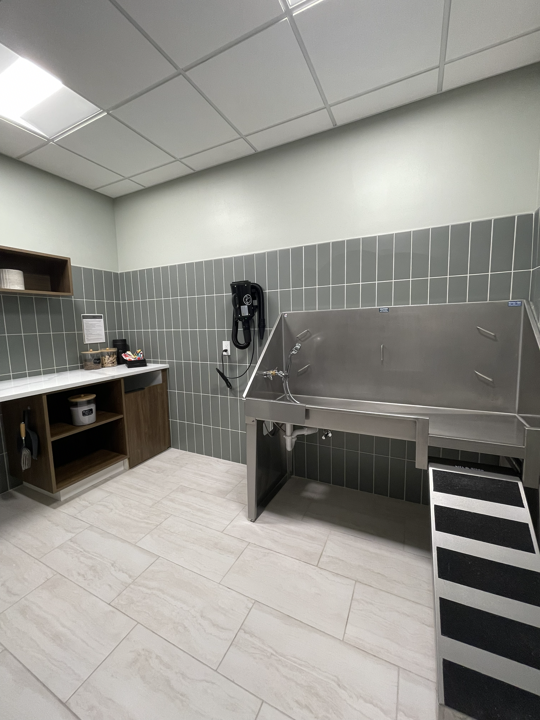 Pet Grooming Room