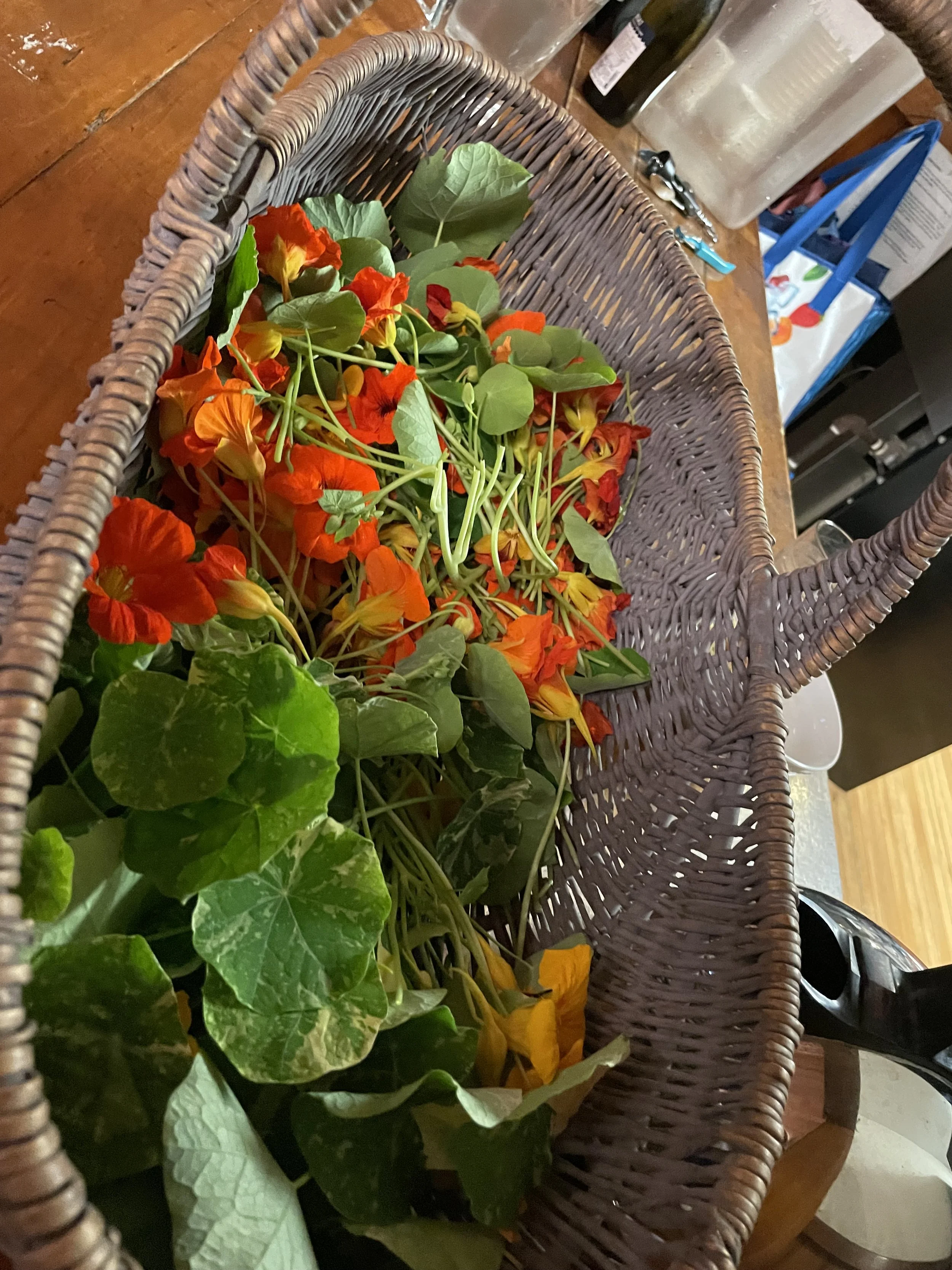 INHA Gallery Photo 5.jpg