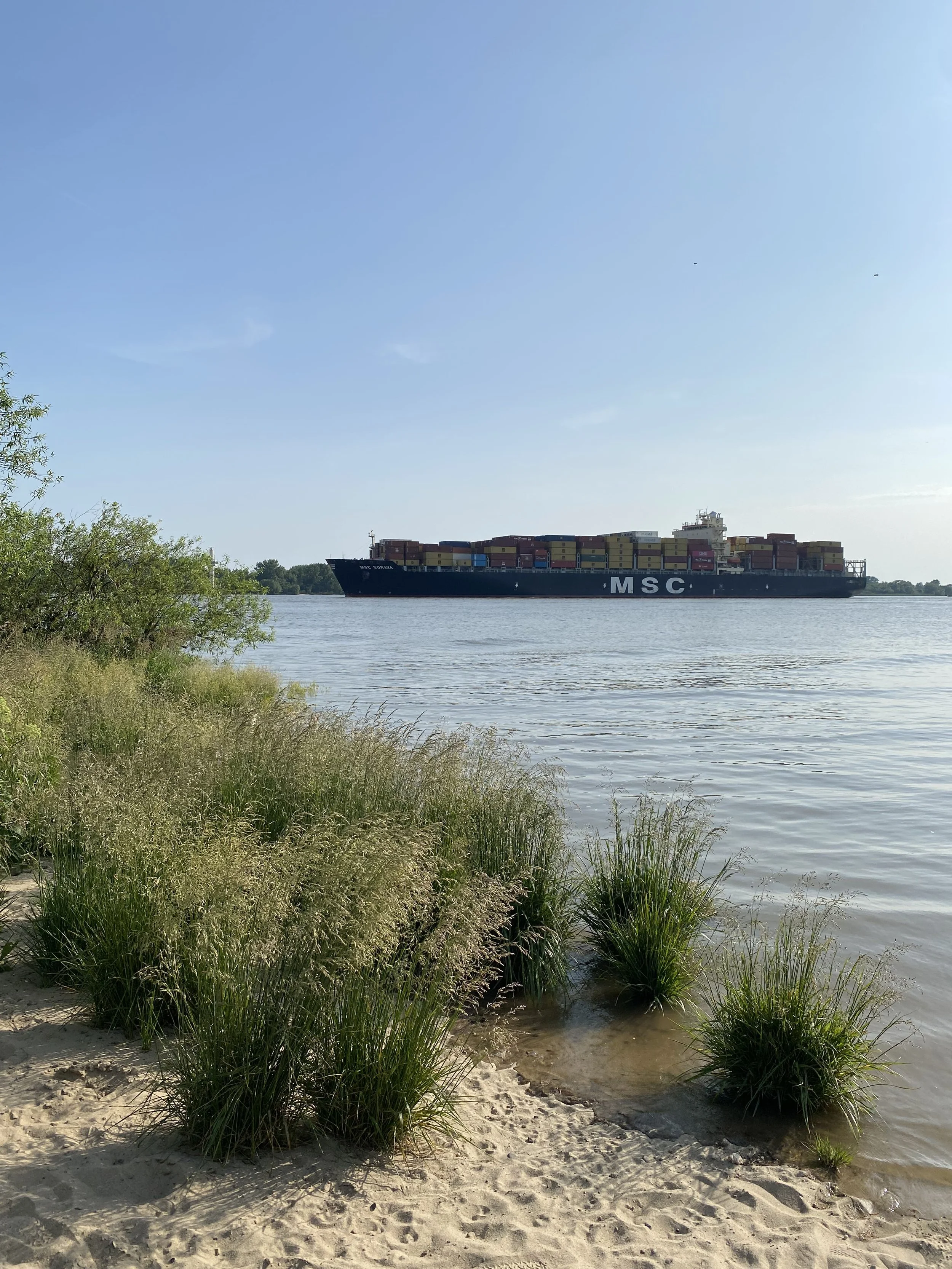 Containership sails by beach in Hamburg, Germany