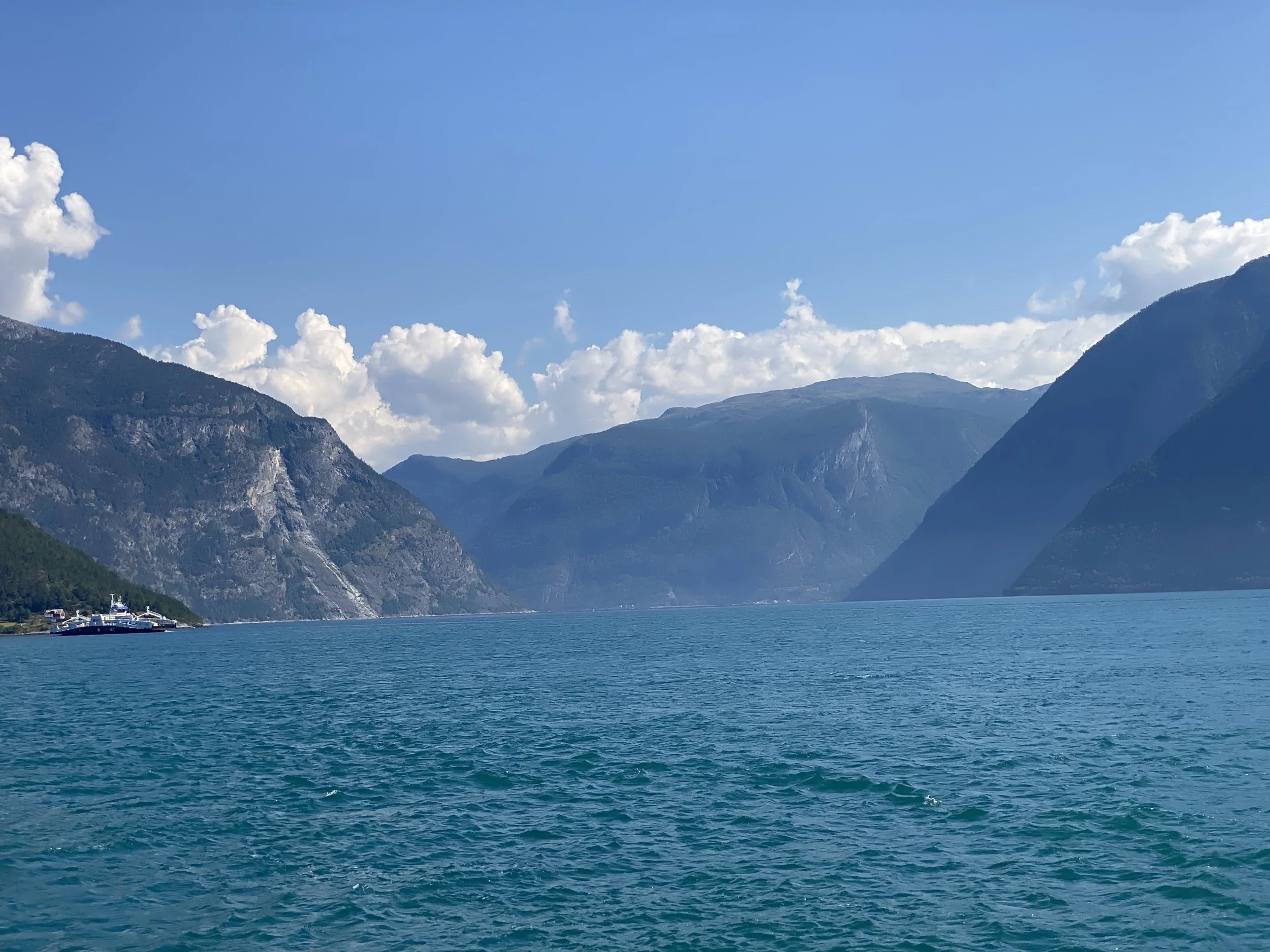 Sogndalsfjord, the deepest fjord in Norway.