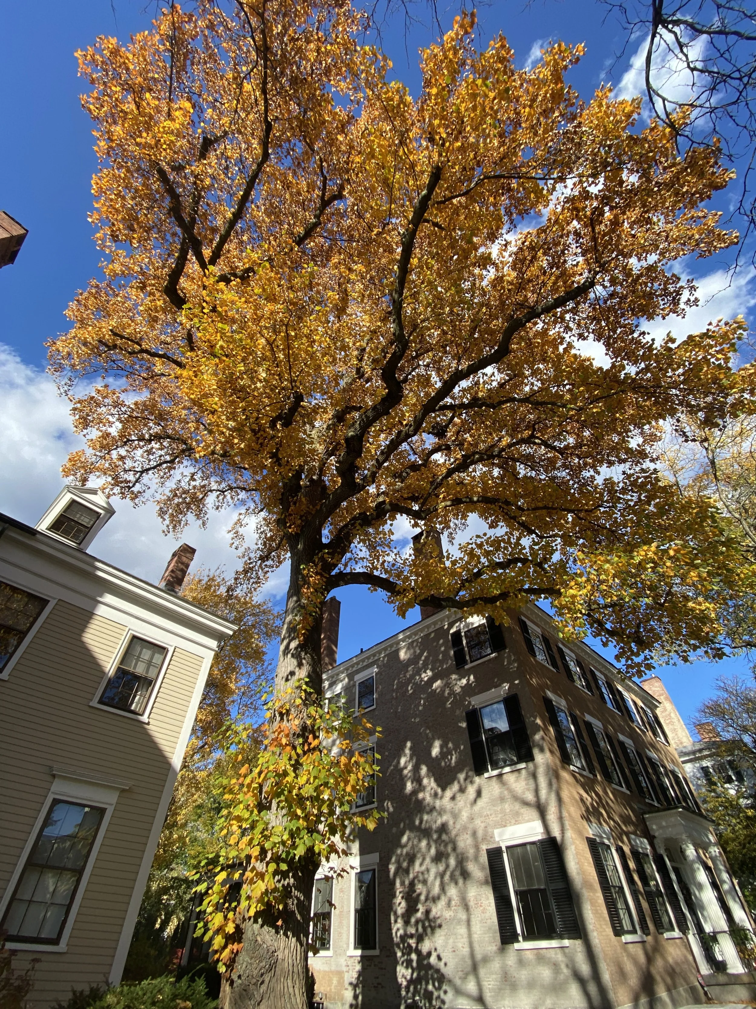 Federalist style home in Salem, Massachusetts
