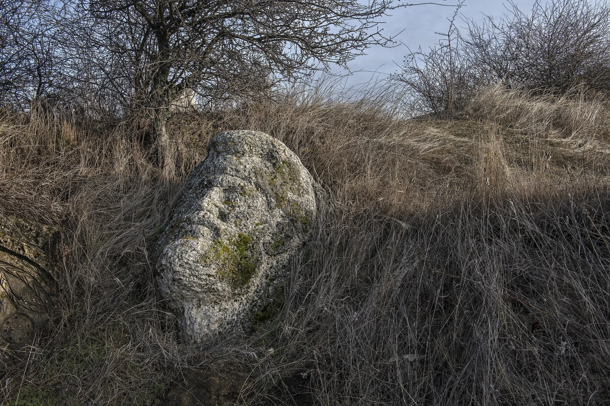 Decebal carved head from the 80s, Naeni. 