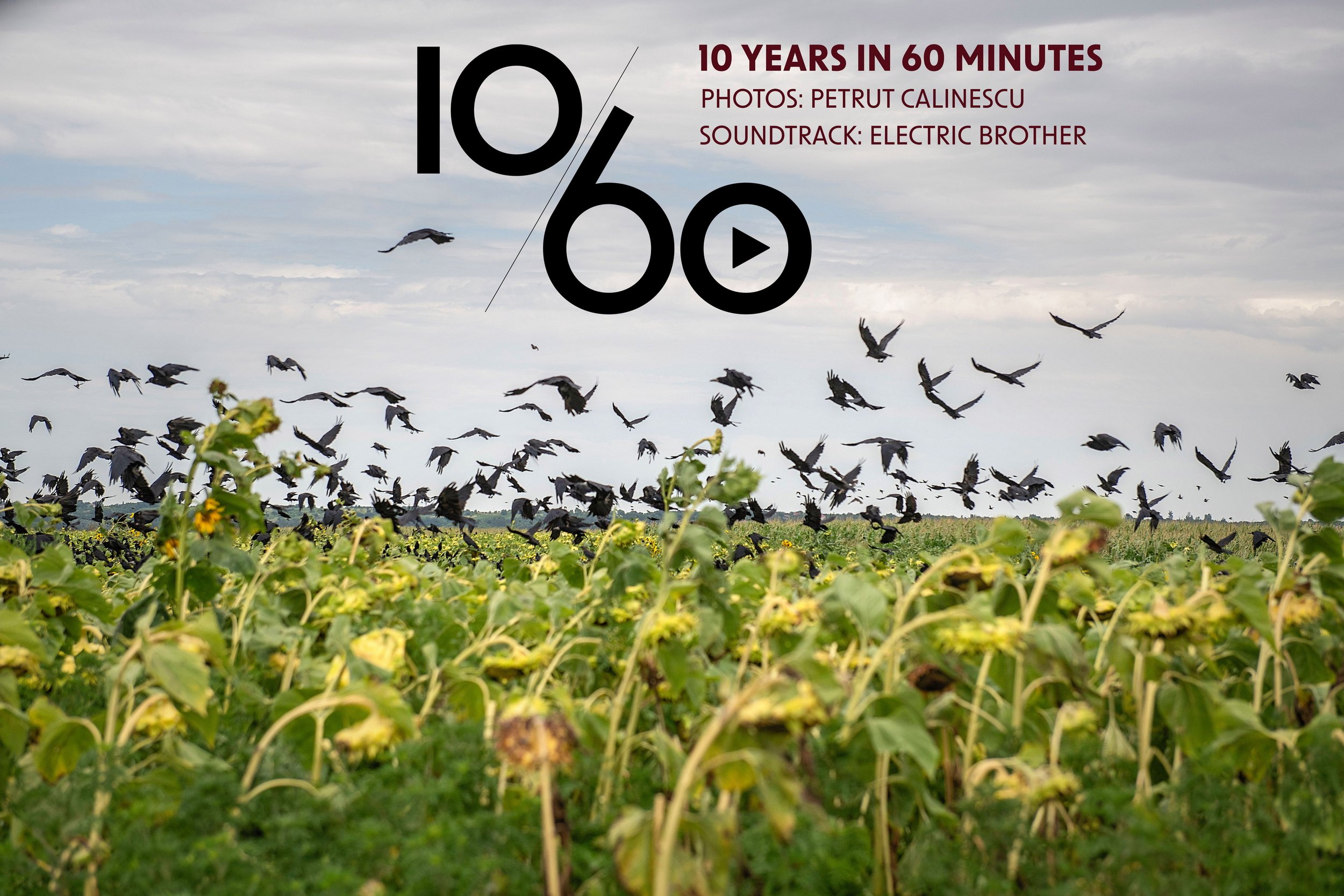 “10 years in 60 minutes” - cinema projection