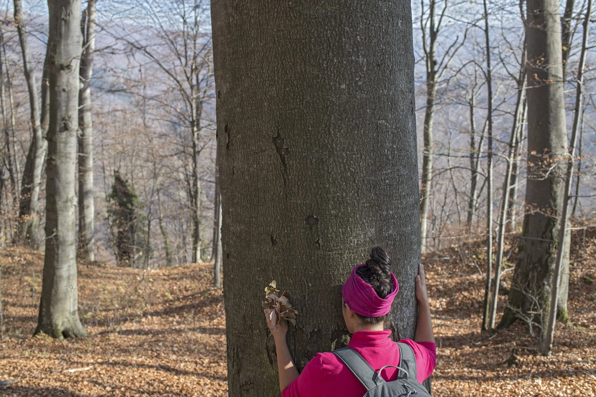 A woman hugs the tree, saying that she can connect with the past that way.