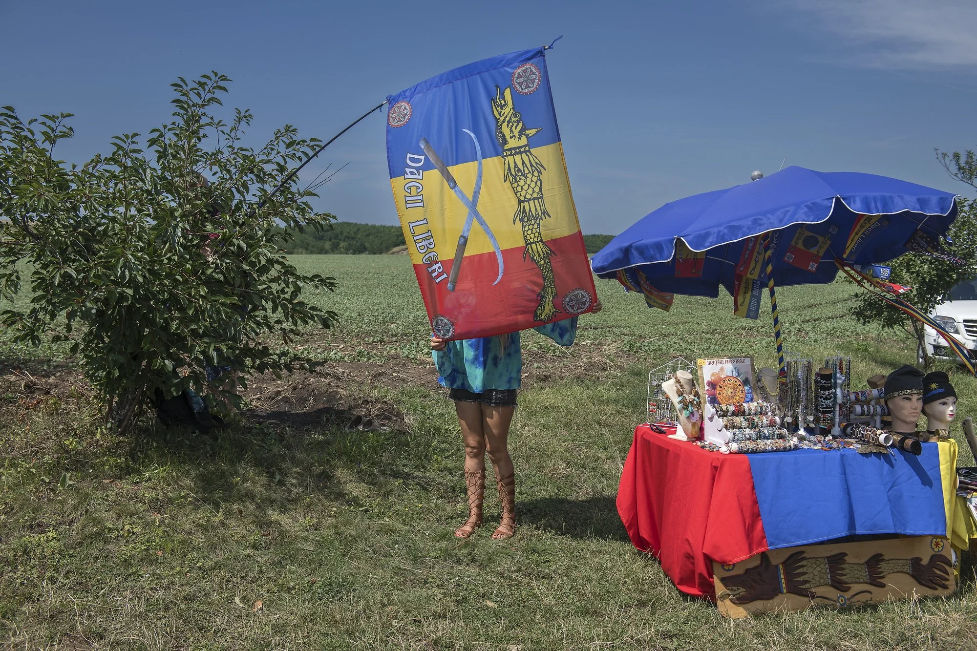 Dacian souvenirs for sale