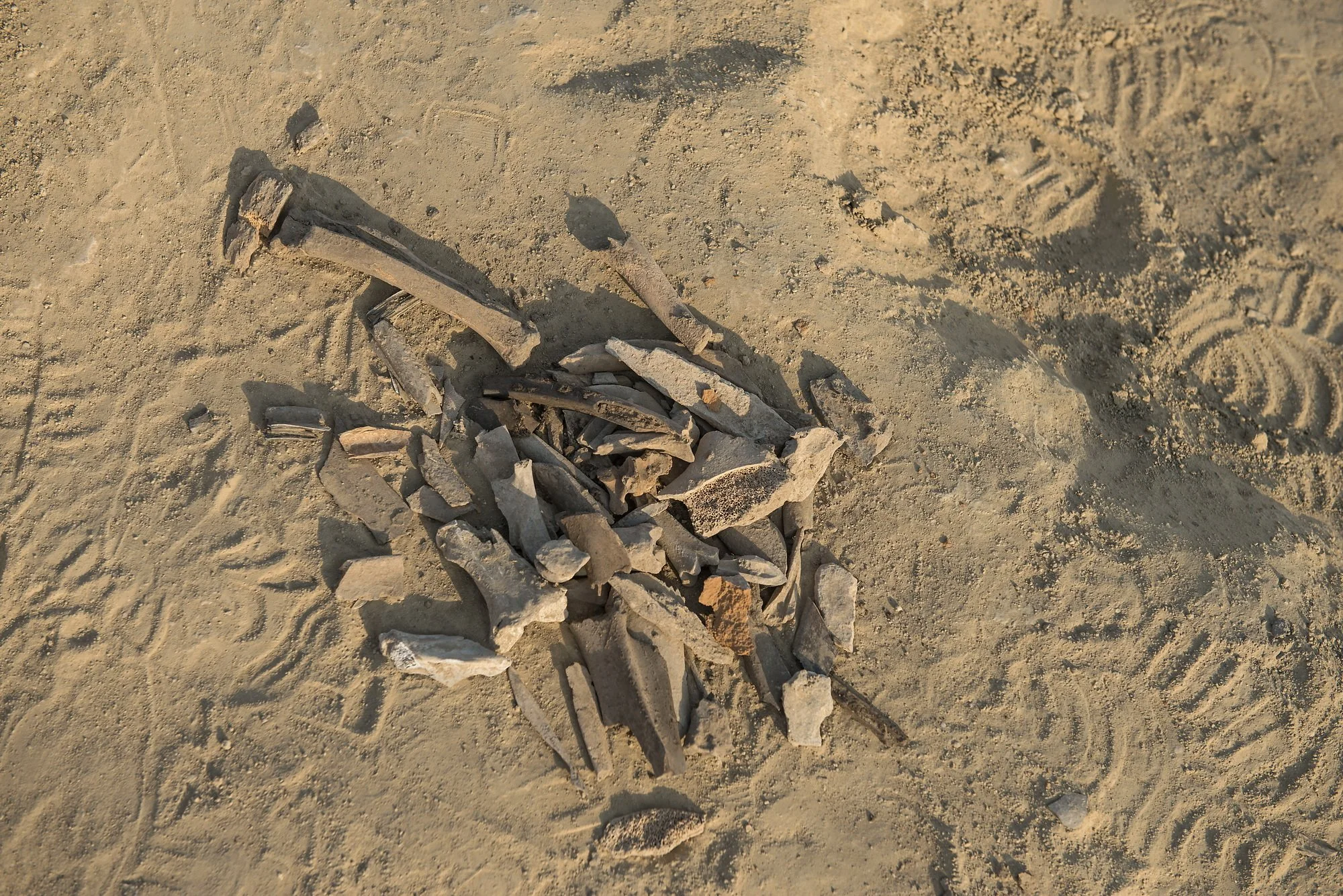 Human remains found at the archeological site on Pantelimonul de Jos.