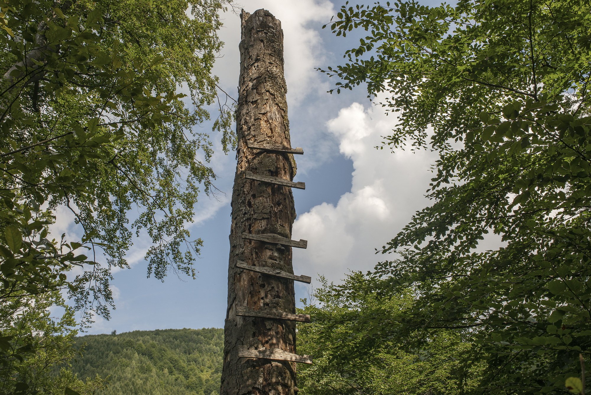 An unknown purpose old stair in the forests near the UNESCO site of the Dacian fortress of Sarmizegetusa, in the Orastie Montains. 