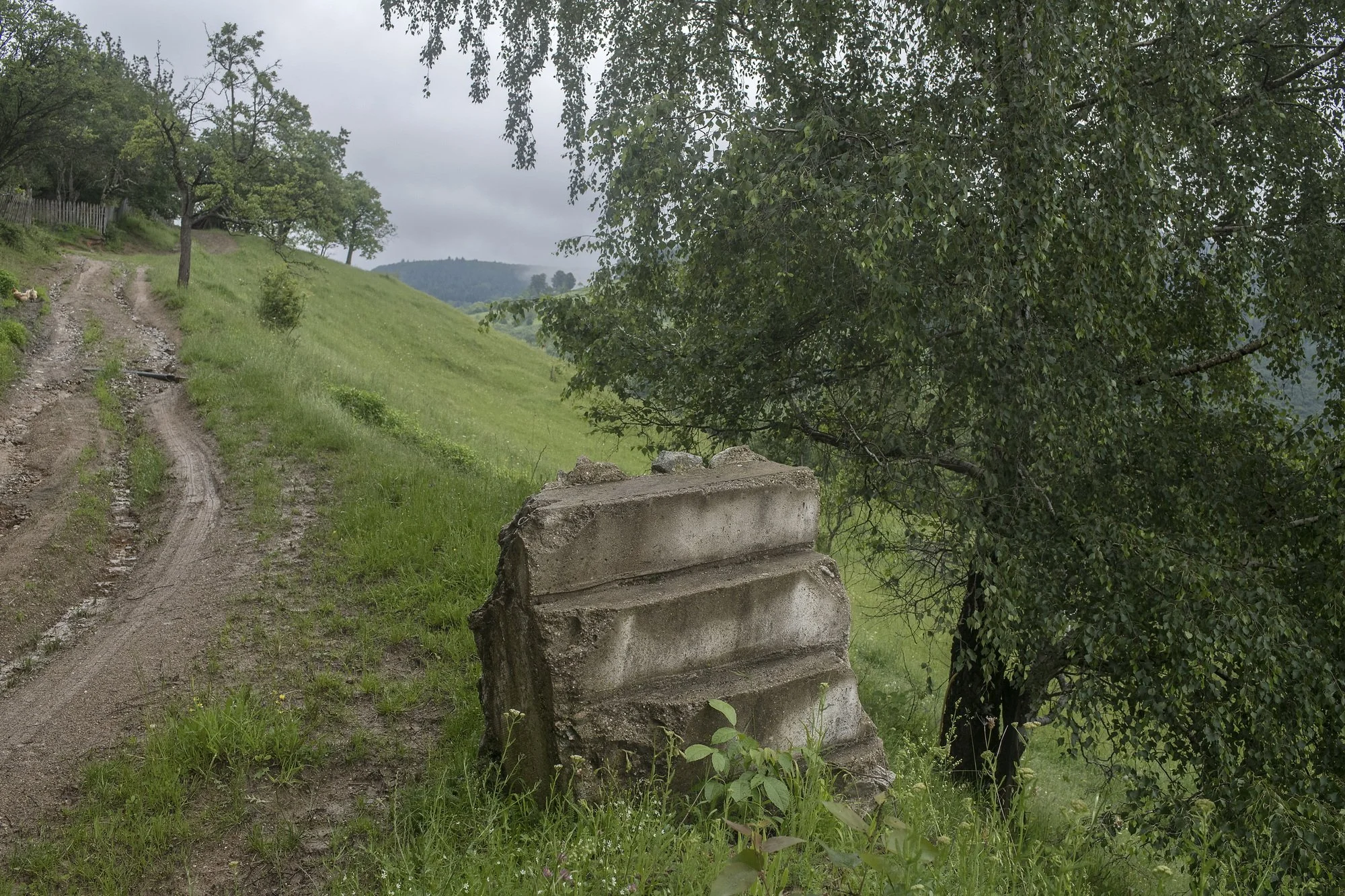 Concrete stairs left from a demolished house, the village nearby an Dacian fortress ruin of Piatra Rosie