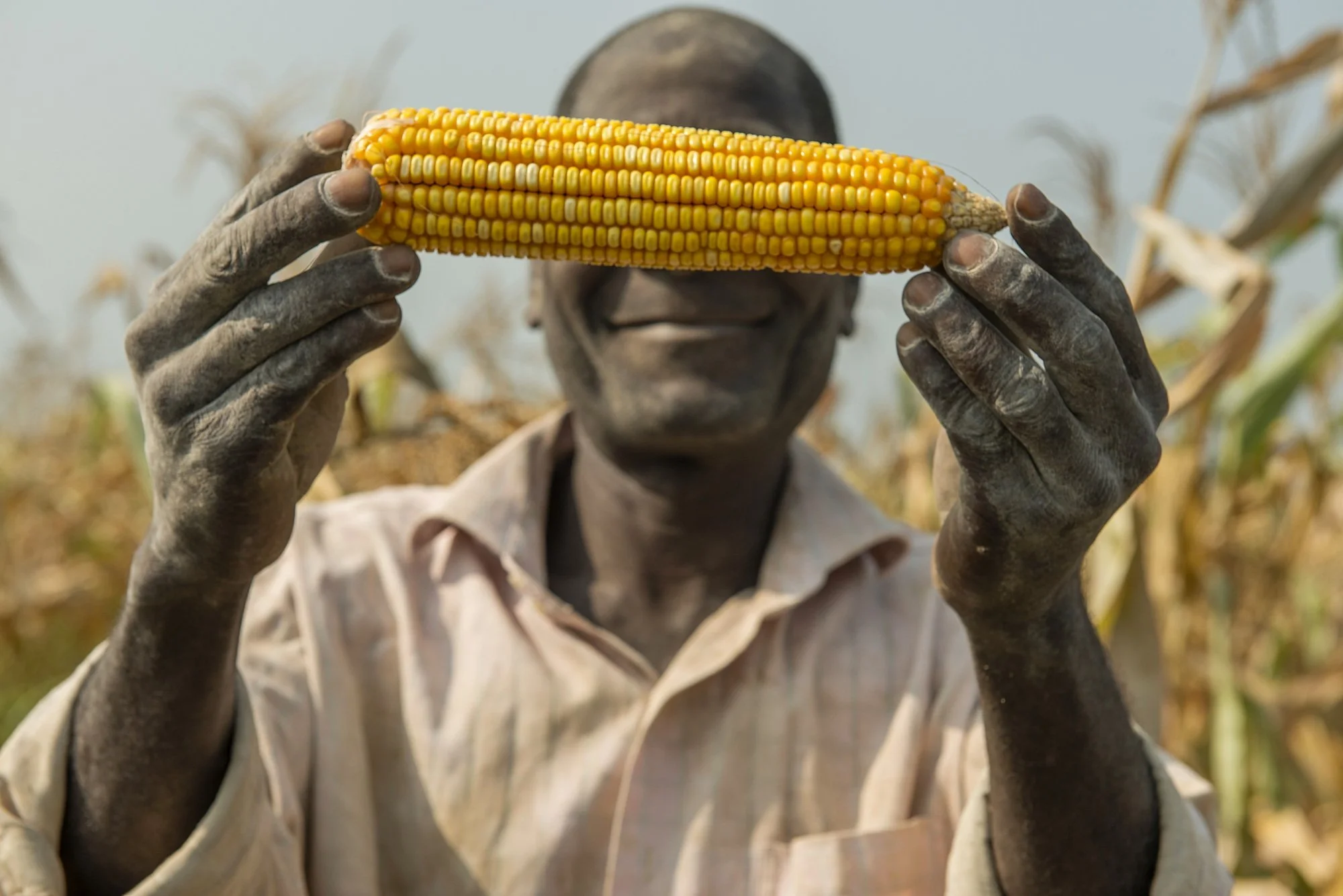 Food for Education, Congo
