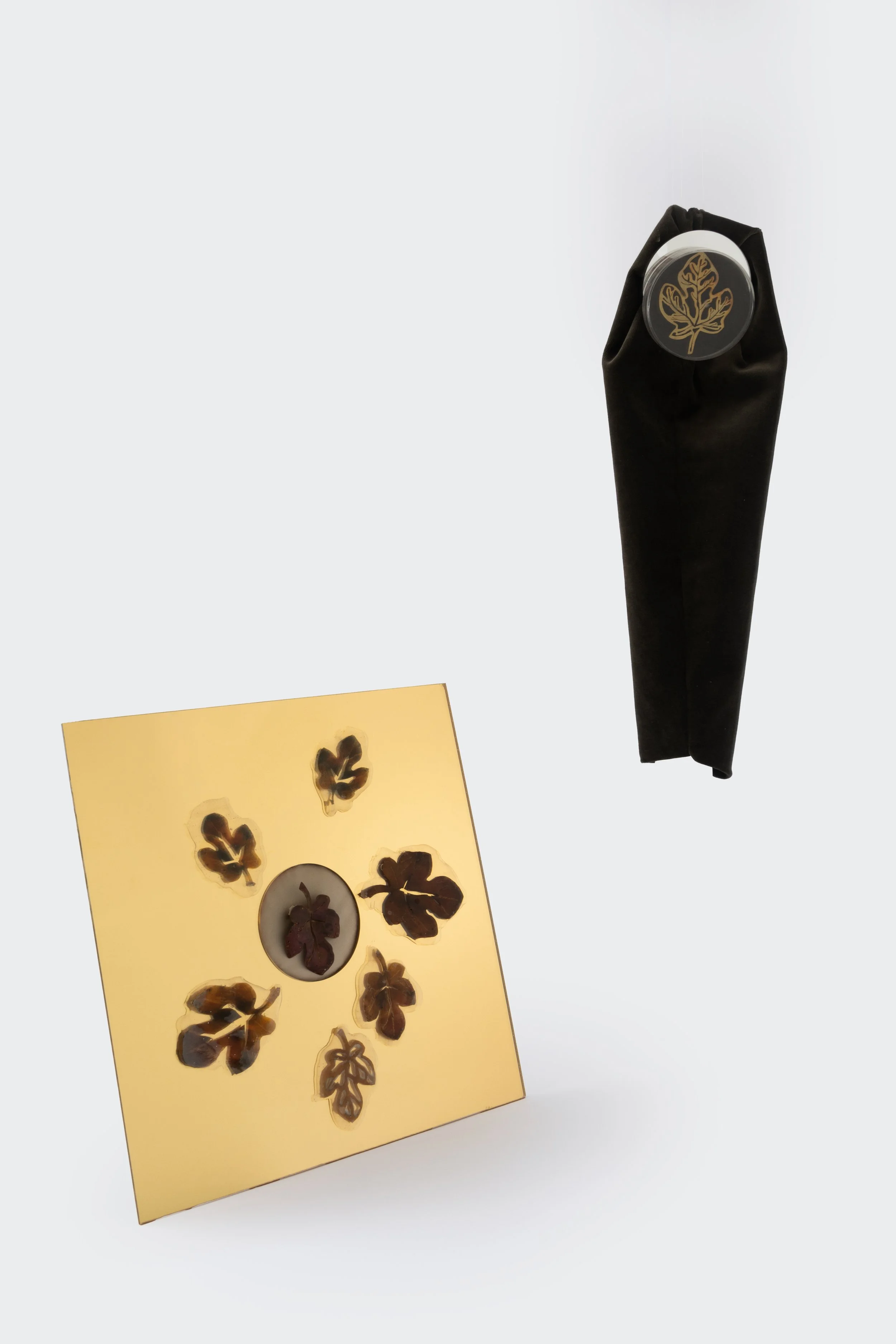 cristal box (18).jpg