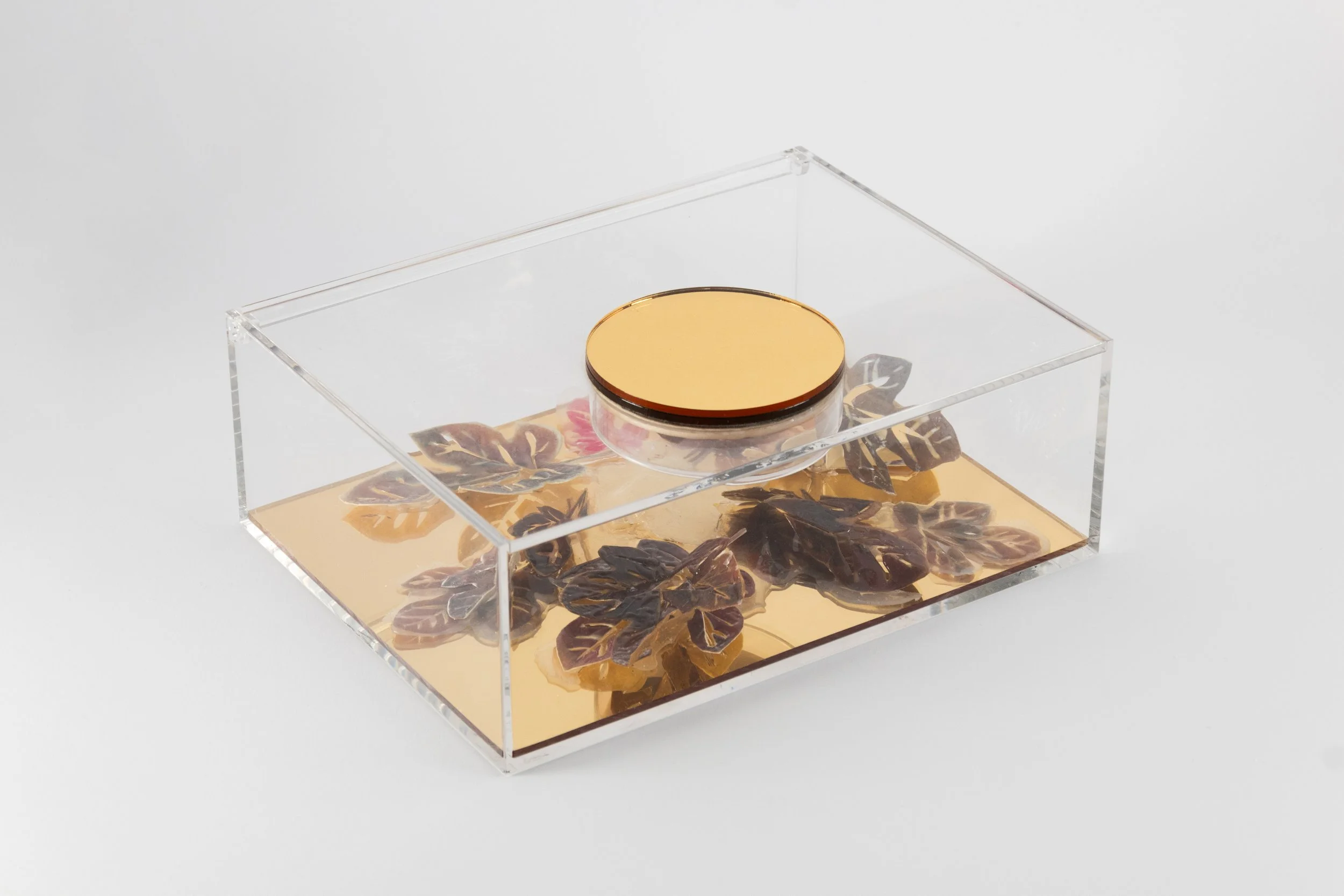cristal box (12).jpg
