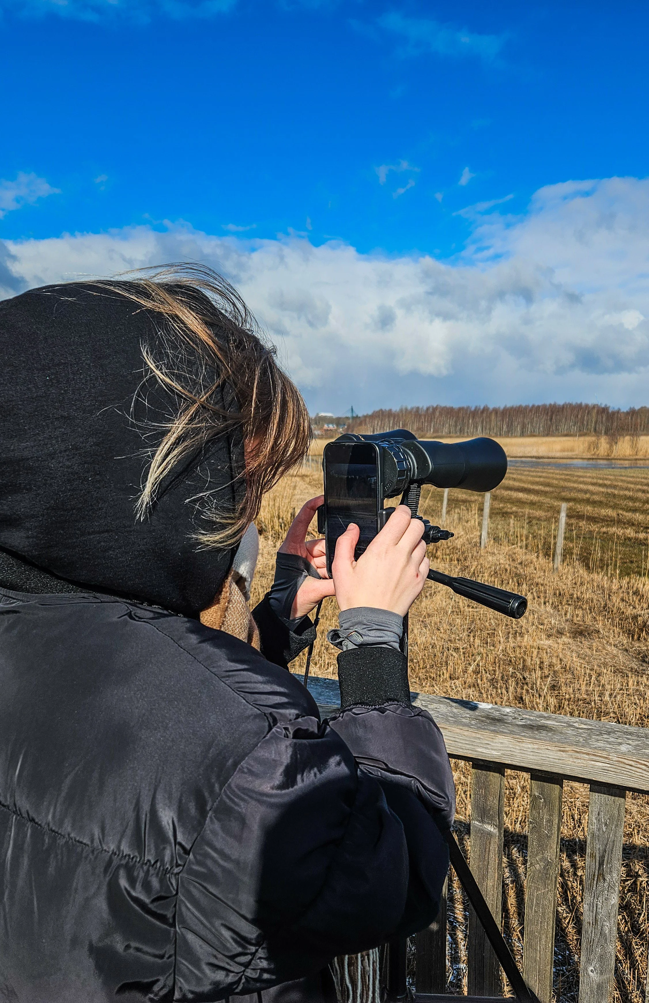 Person in winter clothing using binoculars with a smartphone to observe wildlife in a field under a partly cloudy sky, Lammassaari, Helsinki, Finland