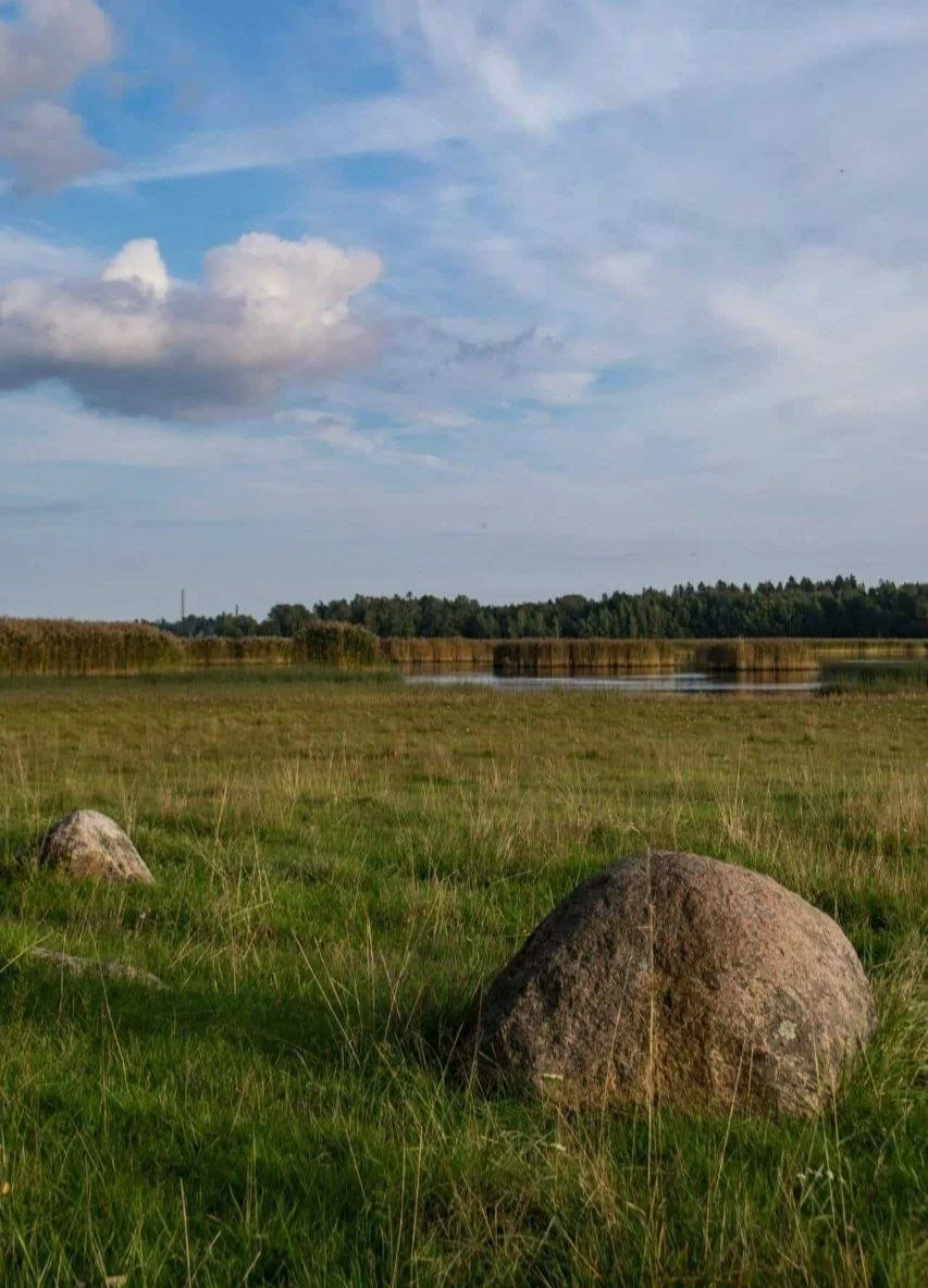 Open grassland with two large rocks in the foreground, a water body in the middle distance, and a line of trees under a blue sky with scattered clouds, Laajalahti, Espoo, Finland
