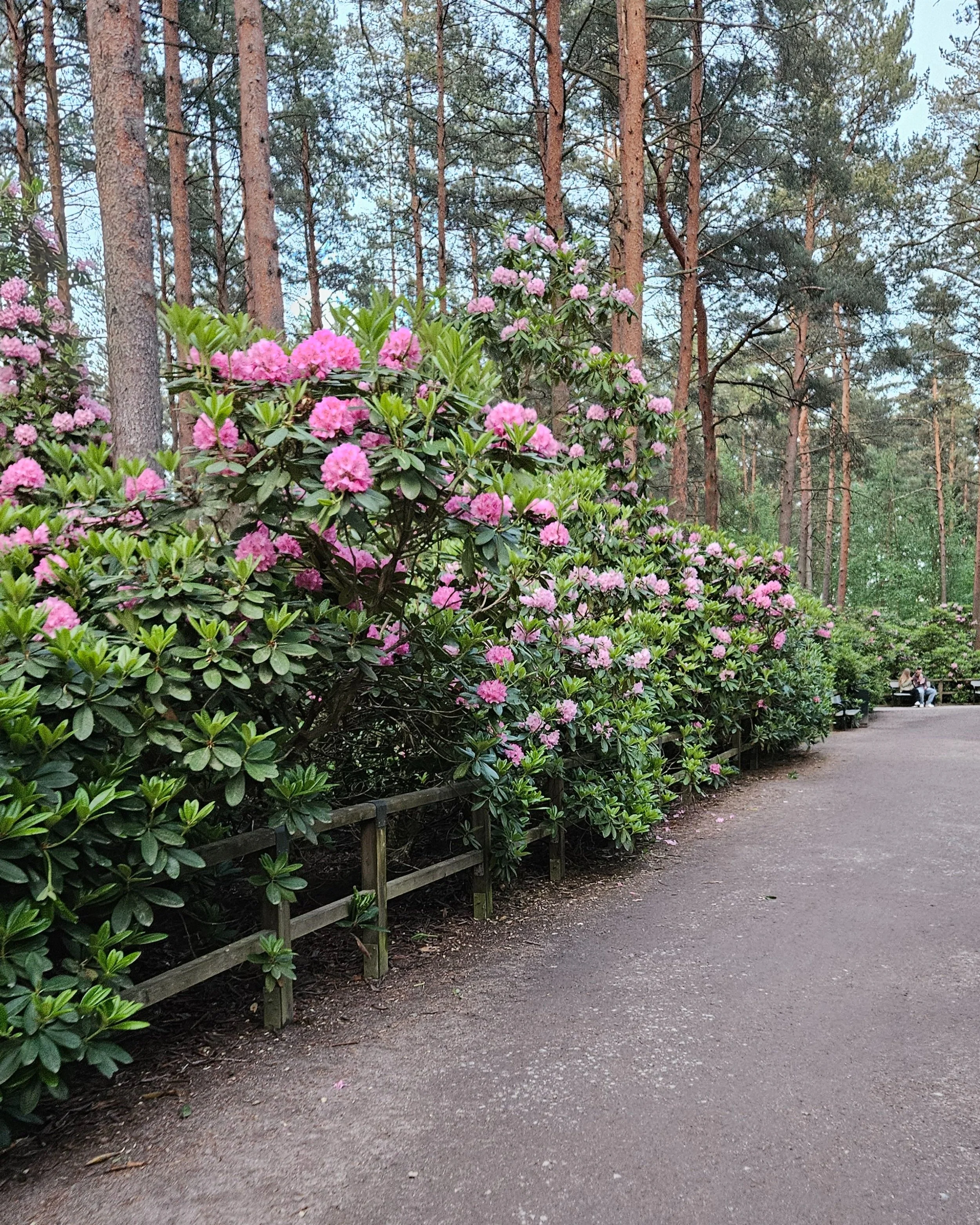 20250610_220624.jpg