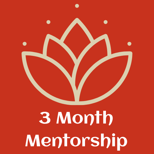 3 Months Mentorship Package