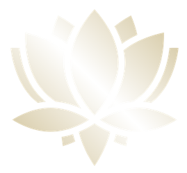 A white lotus flower with multiple petals against a transparent background.