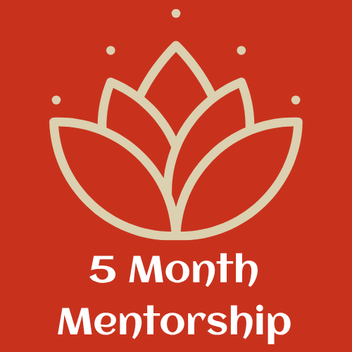 5 Months Mentorship Package