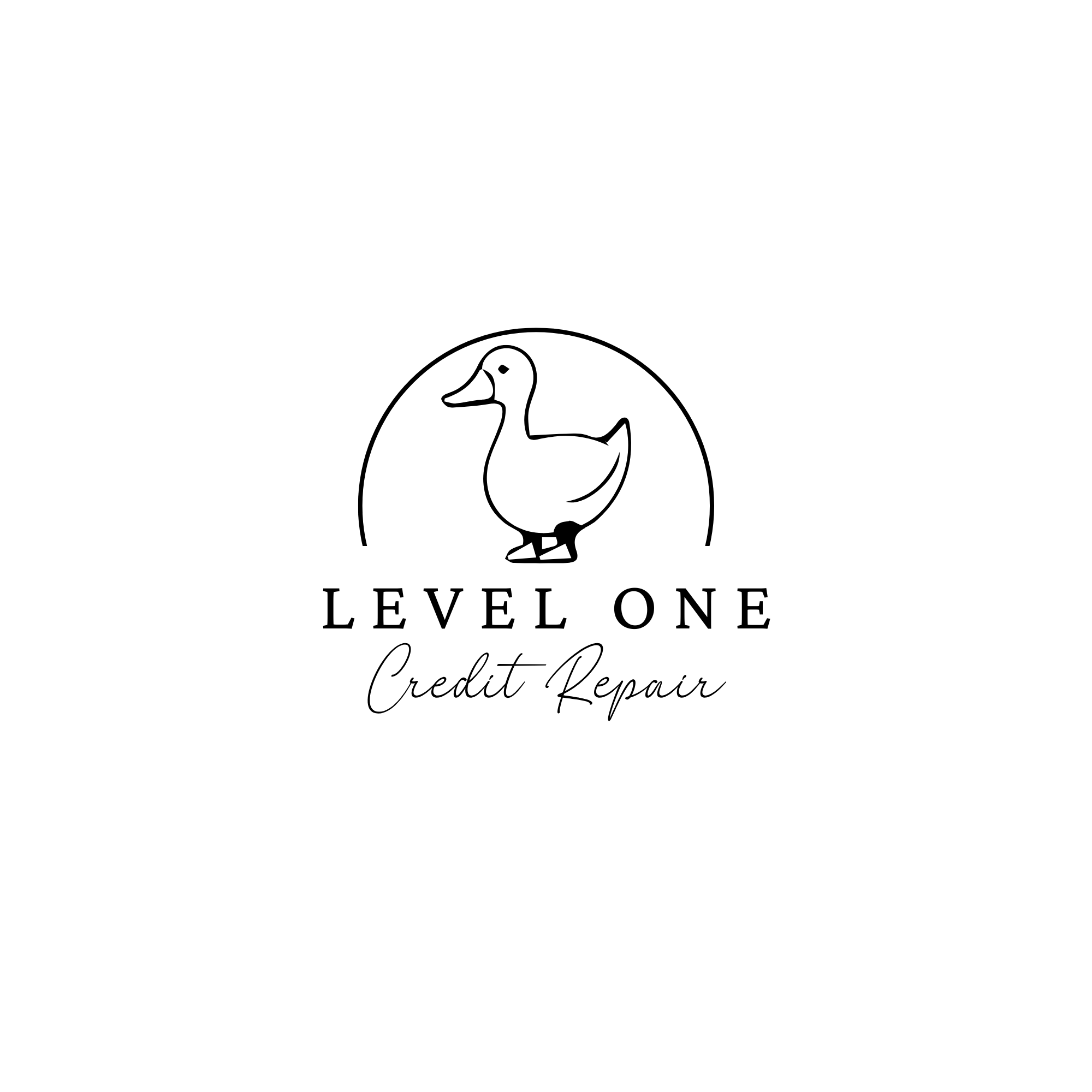 Level One Credit Repair