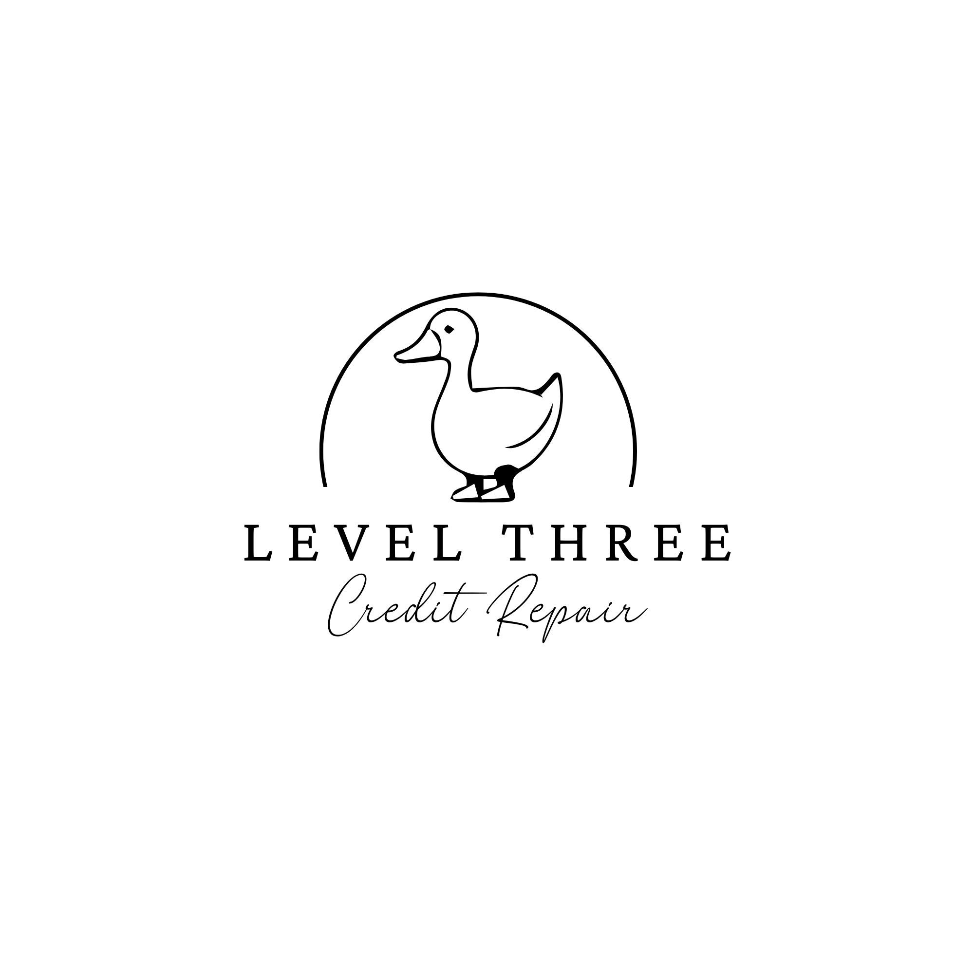 Level Three Credit Repair