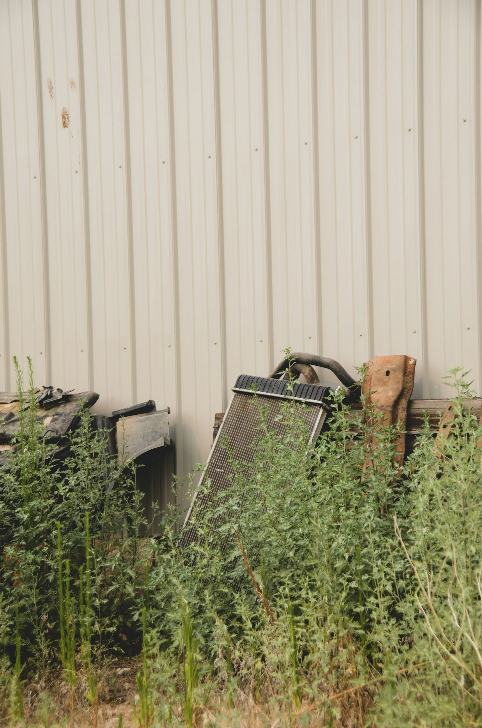 Disused metal items leaning against a white corrugated metal wall, surrounded by overgrown weeds and grass.