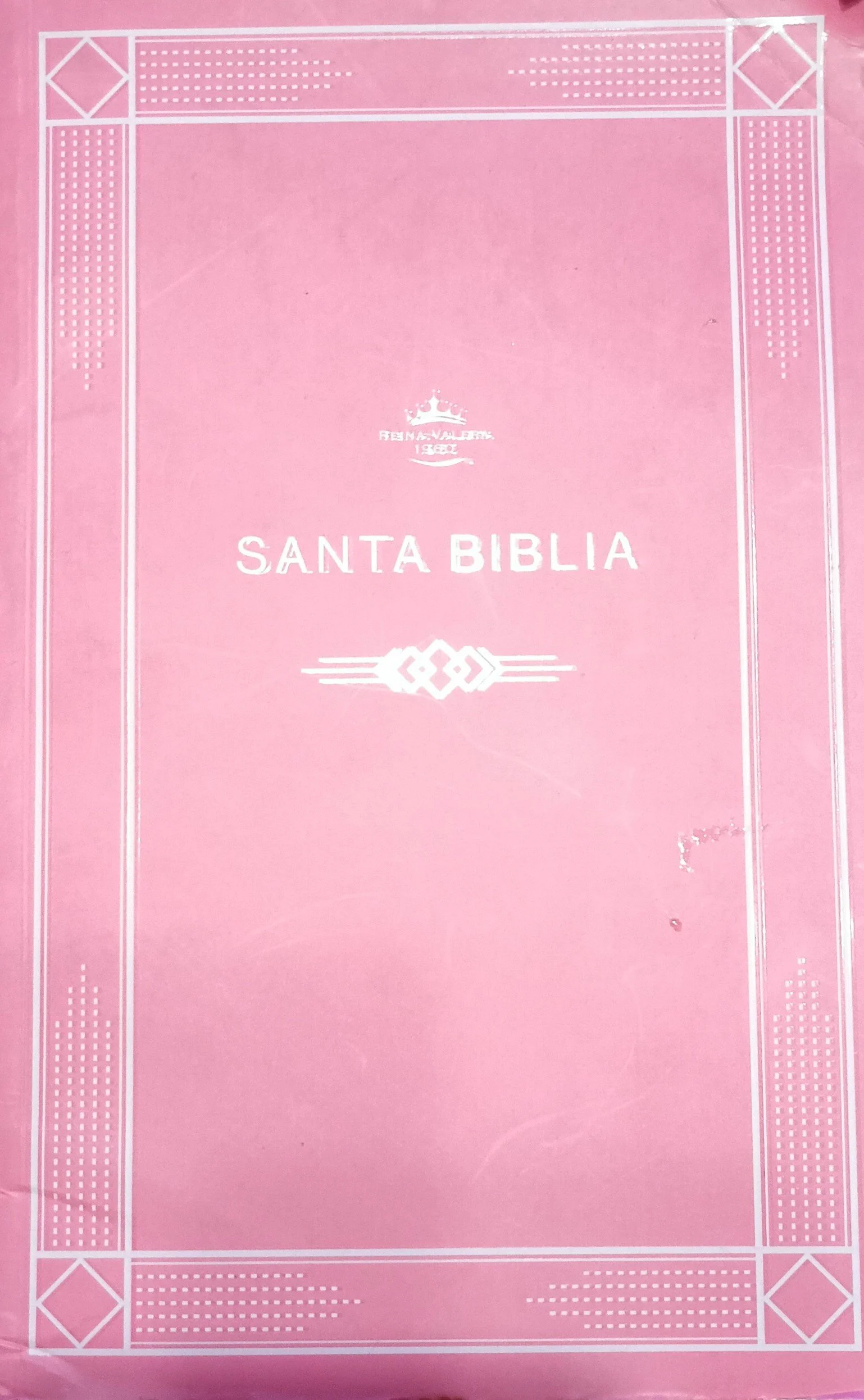 pinkSBible.jpg