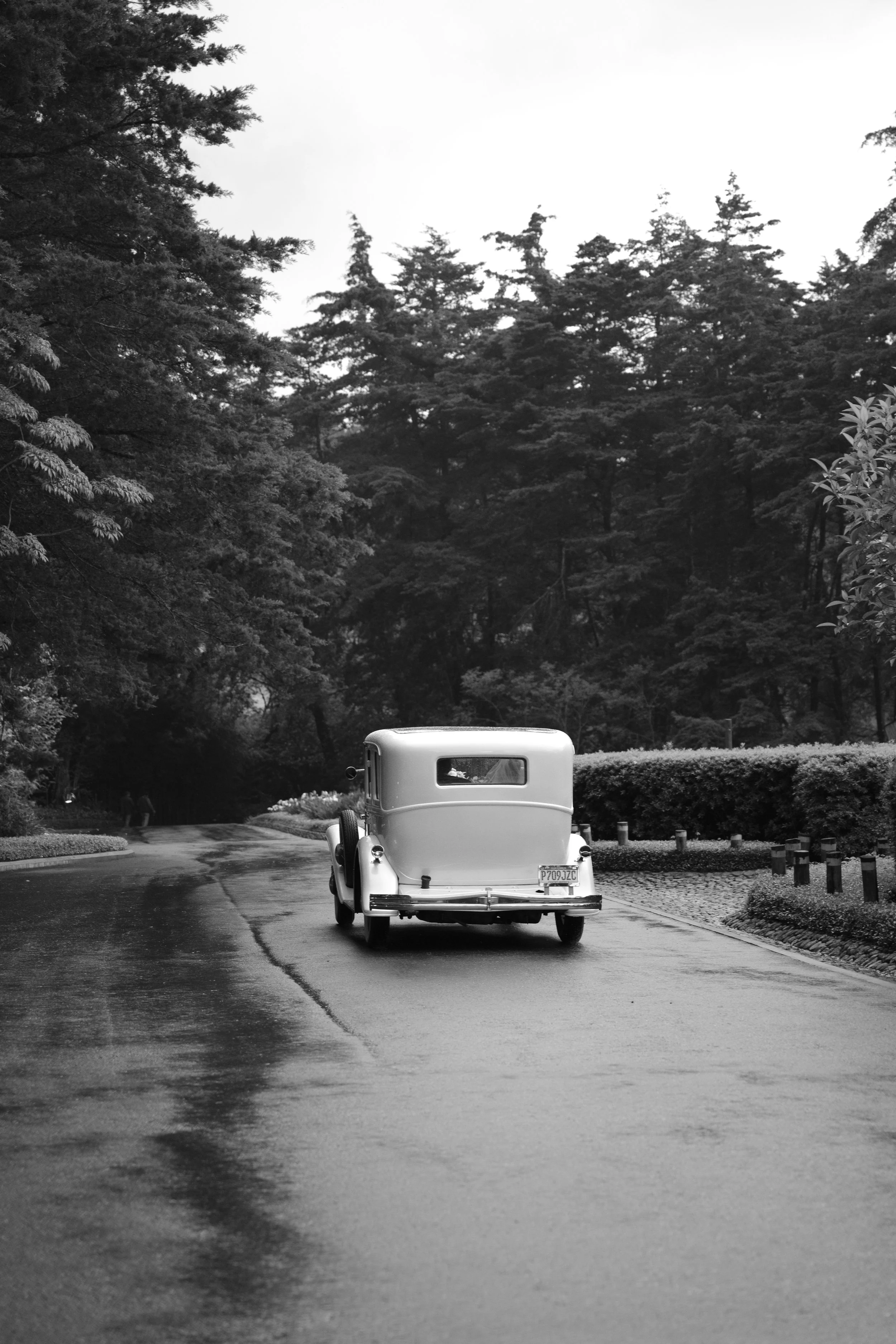 Un coche clásico de color claro conduciendo por un camino húmedo en un entorno rodeado de árboles en una escena en blanco y negro.
