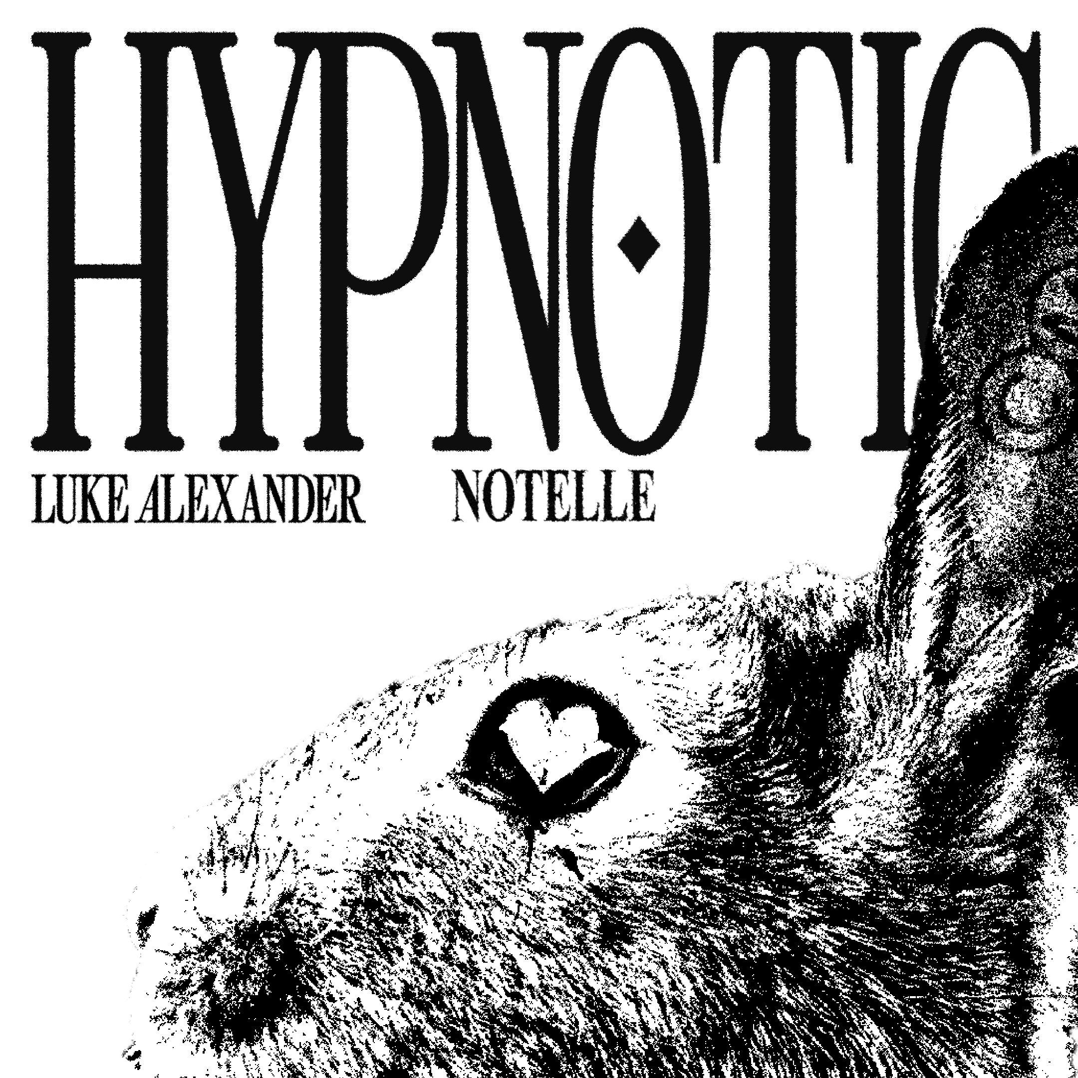 hypnotic notelle_.png