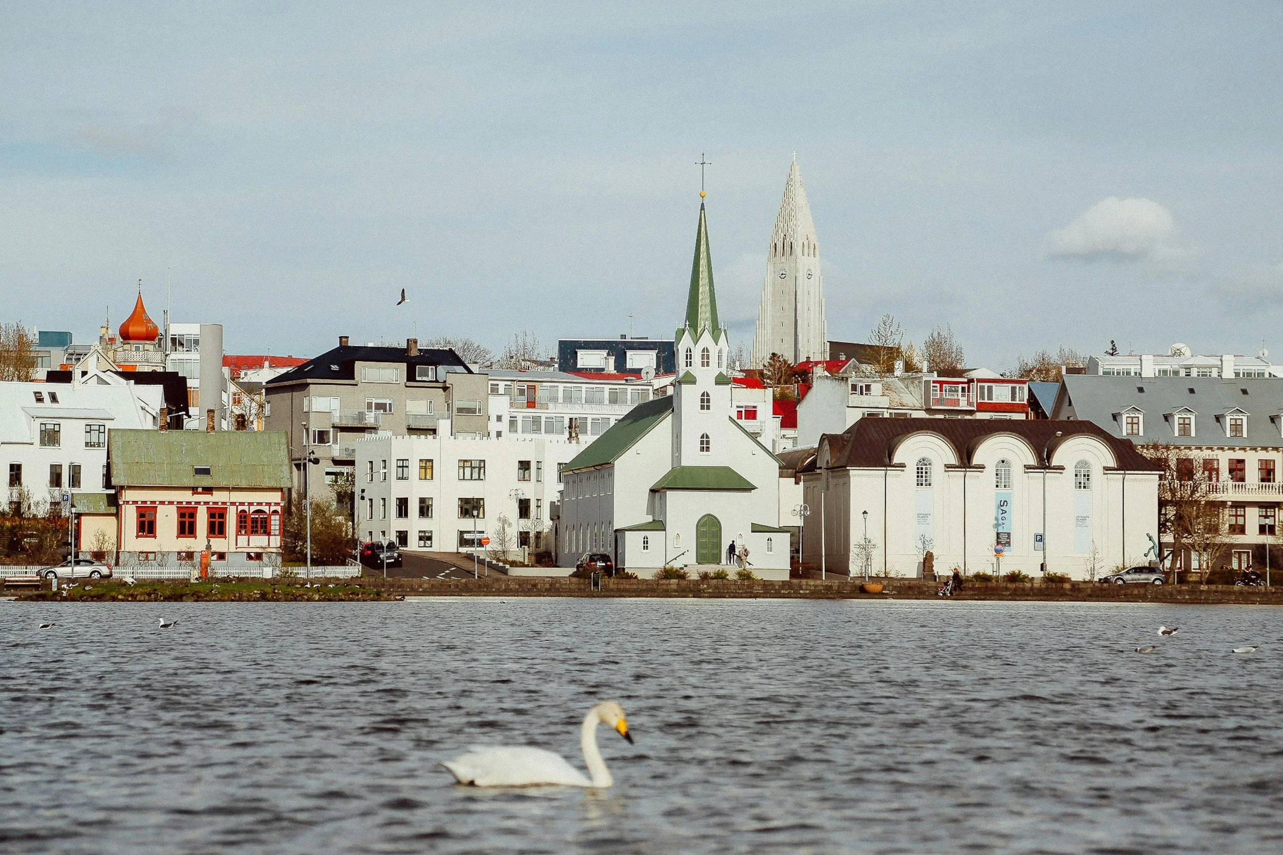 Cityscape with a body of water in the foreground, a white swan swimming, and various buildings including churches with green and tall white steeples, as well as modern residential buildings in the background.