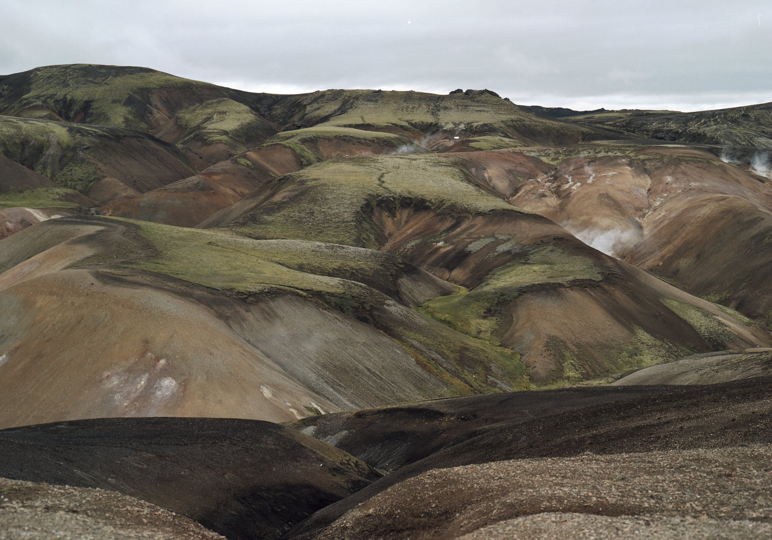 Iceland travel agency