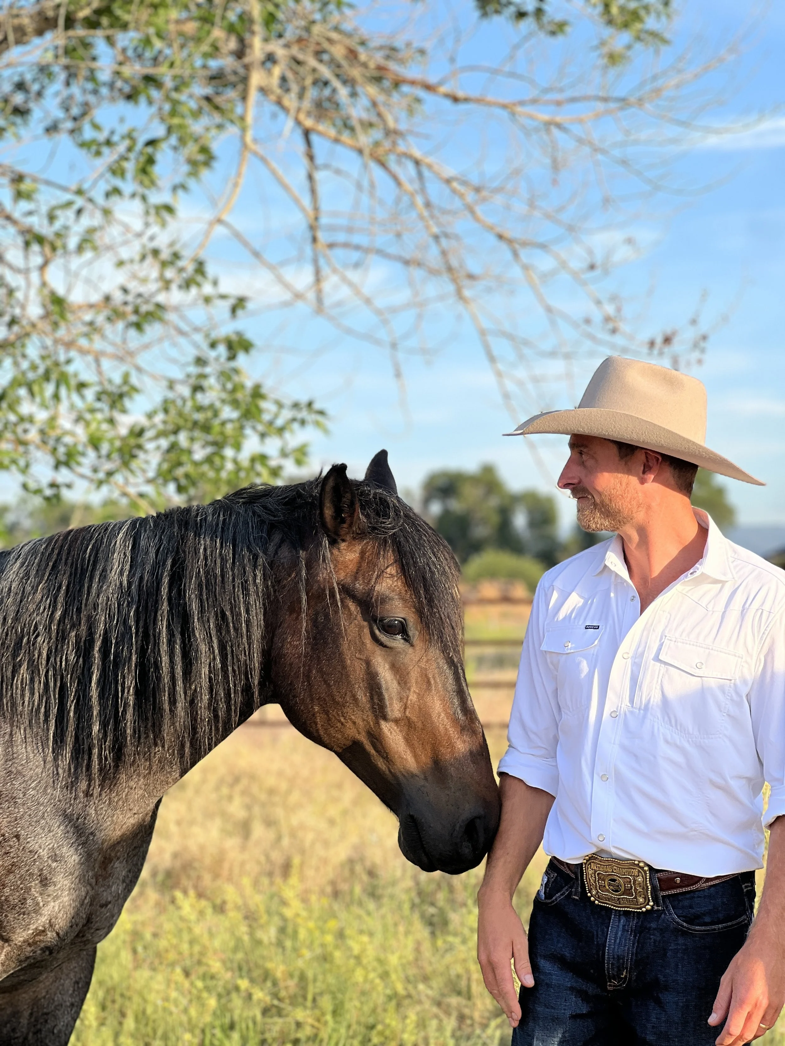 A man wearing a white shirt, cowboy hat, and belt buckle stands beside a dark brown horse outdoors against a background of trees and blue sky.