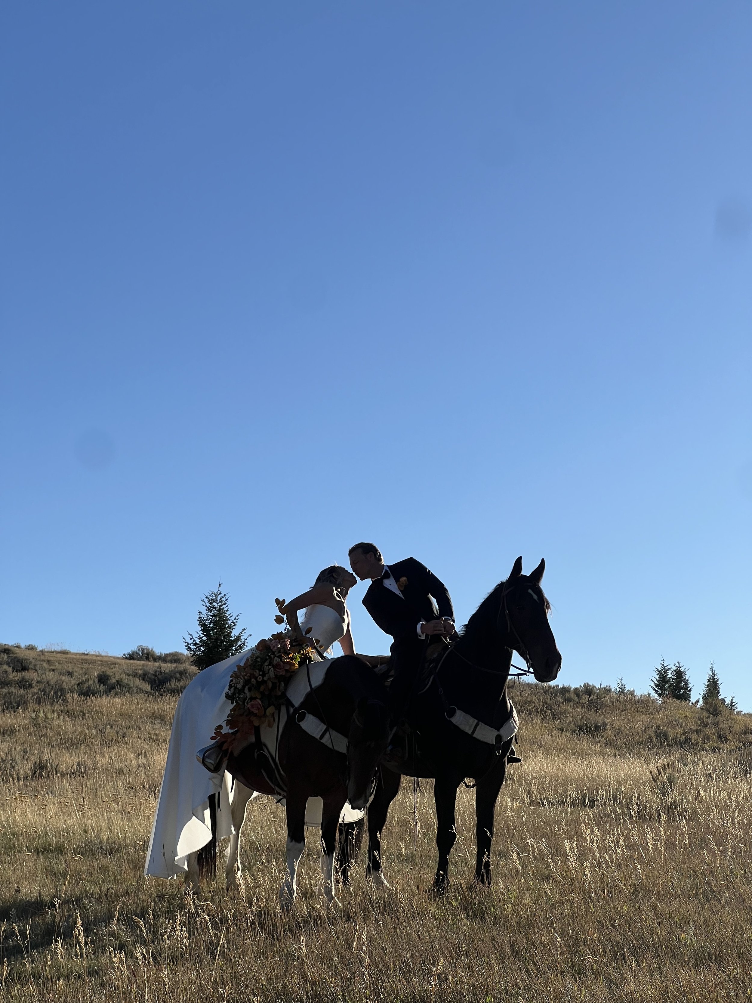 A bride and groom on horseback in a grassy field under a clear blue sky, with trees in the background, during a sunny day.