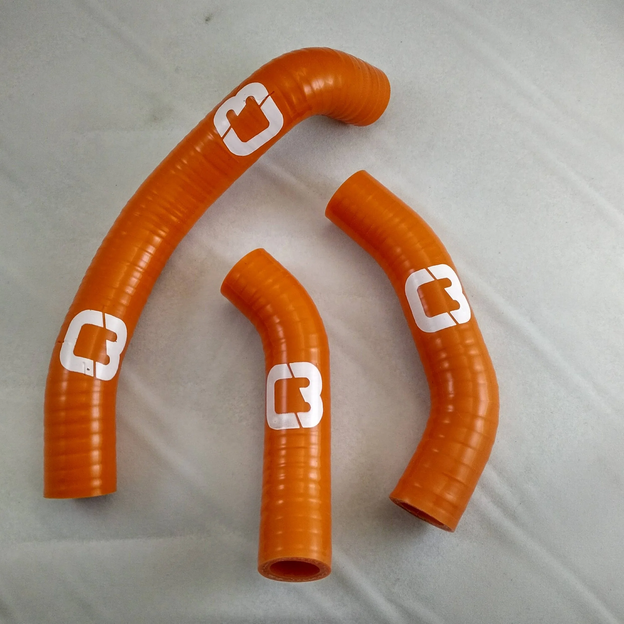 CPEN1304ORG-1.jpg
