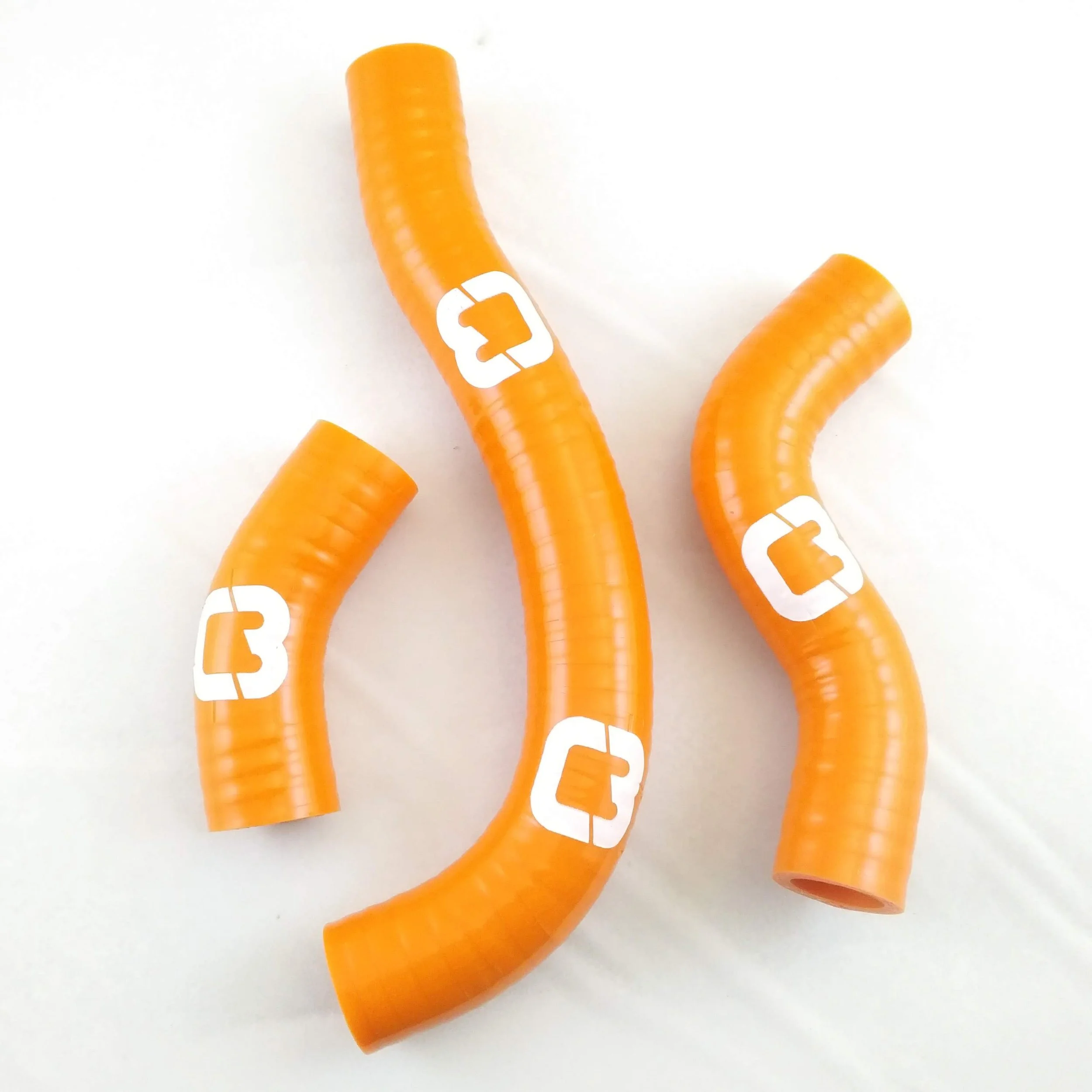 CPEN1305ORG-1.jpg