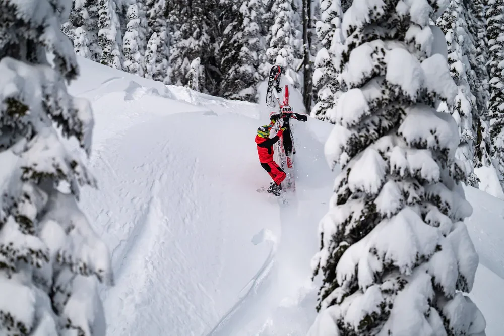 Rider maneuvering a snowbike through a snowy forest