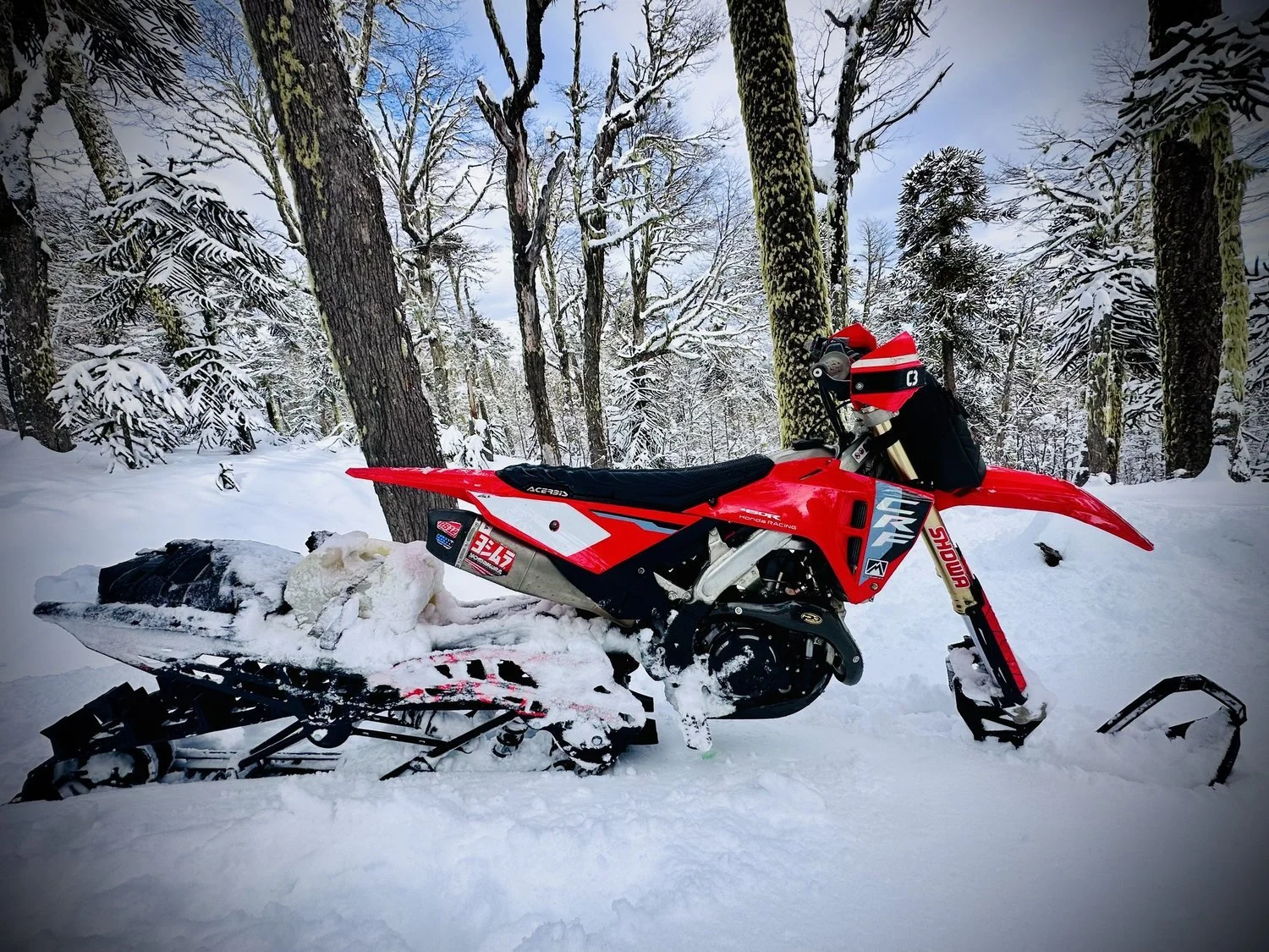Octavio Reyne’s red 2025 Honda CRF450R snowbike with an MTN.TOP Transfer, parked among snow-covered trees in Chile’s Andes Mountains.