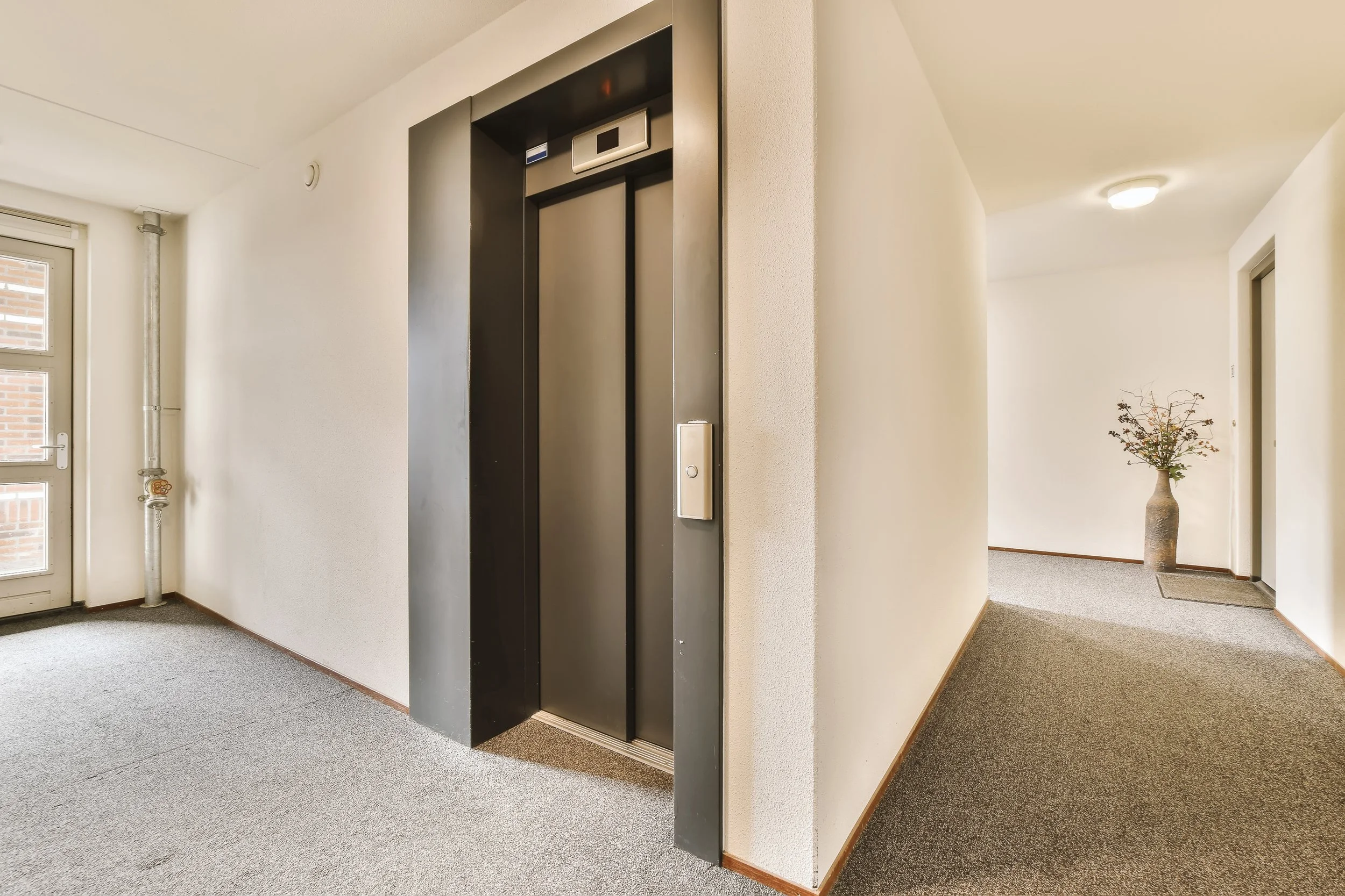 Interior view of an apartment building with an elevator, carpeted floors, a door with windows, and a hallway with a vase of flowers.