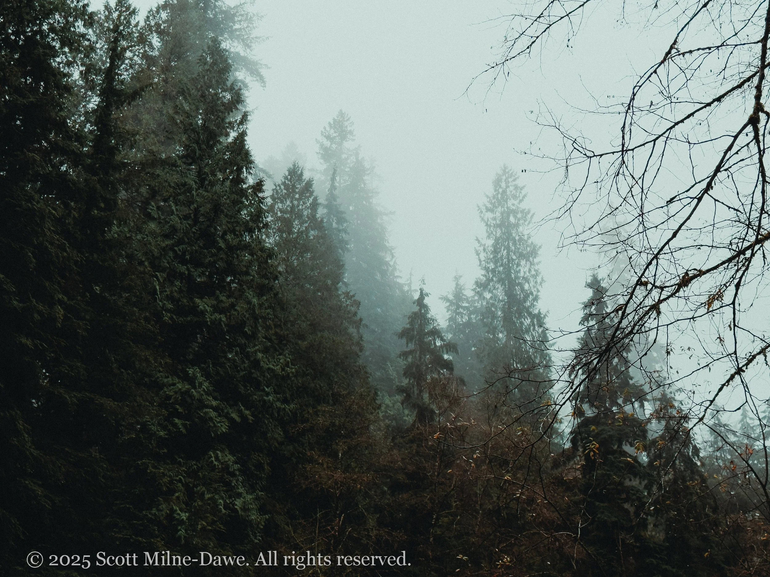 Photography Blog - 5 - A Last Minute Excursion