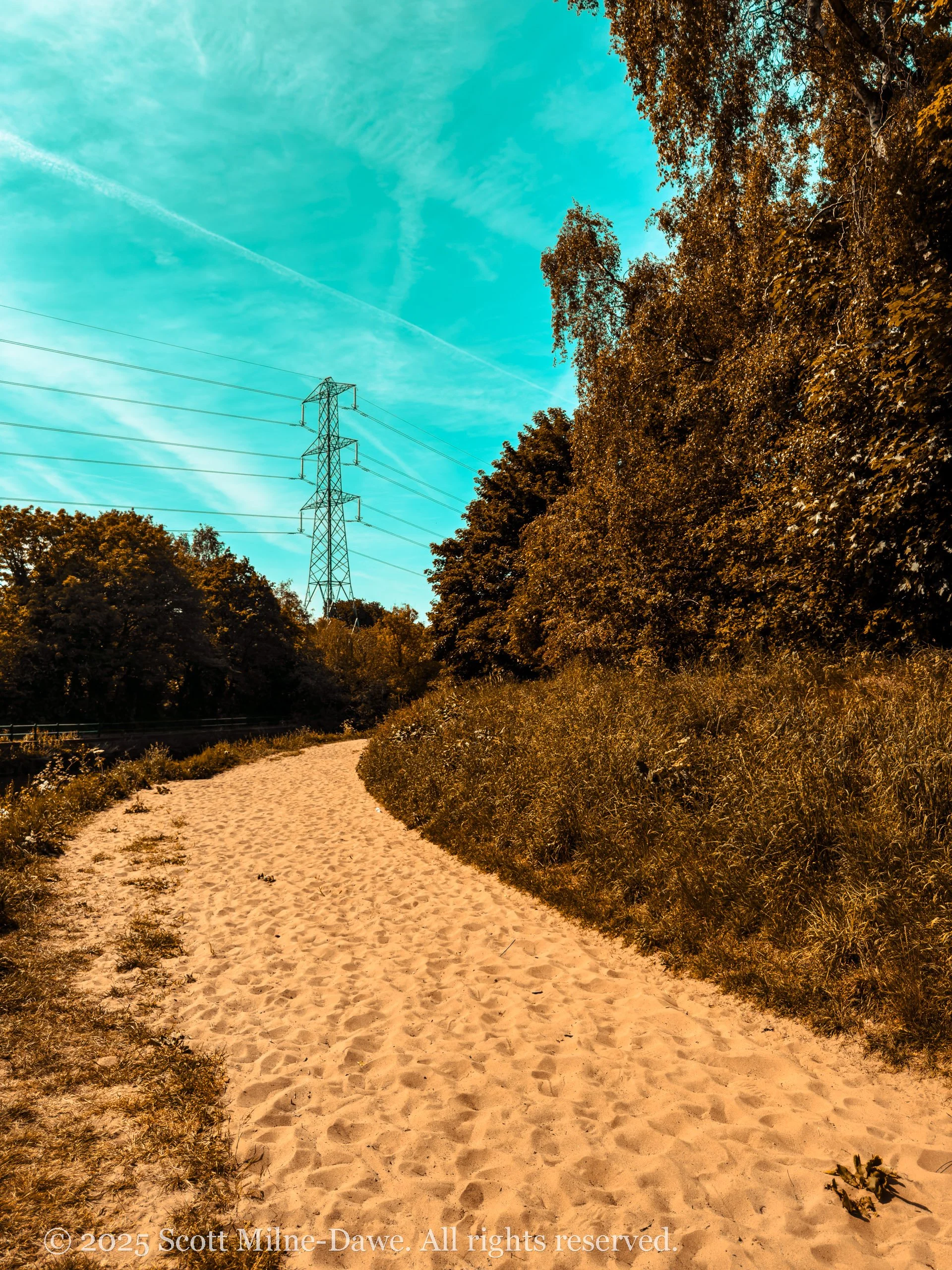 river_mersey_sunny_walk-7.jpg