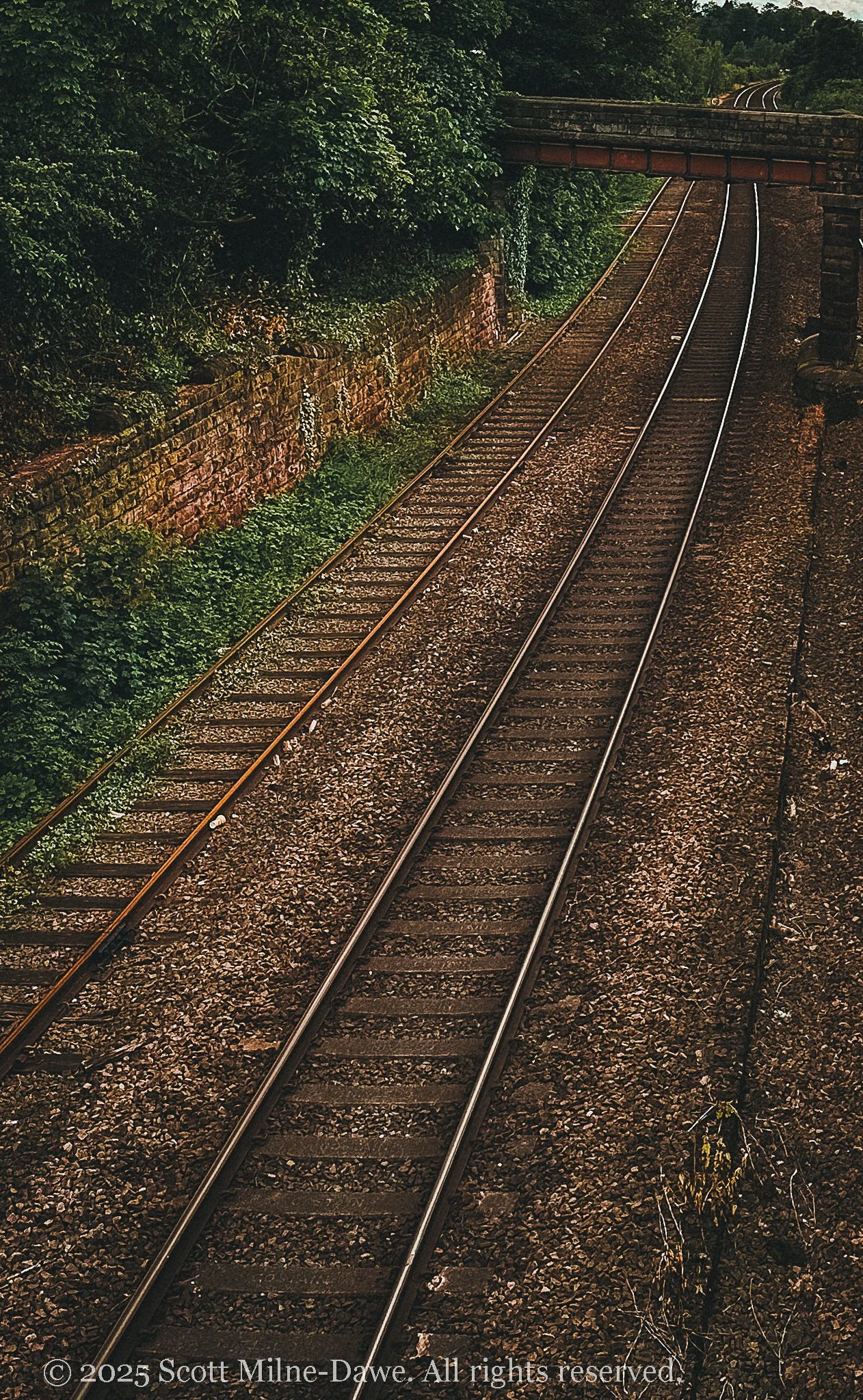 moody_chester-02.jpg