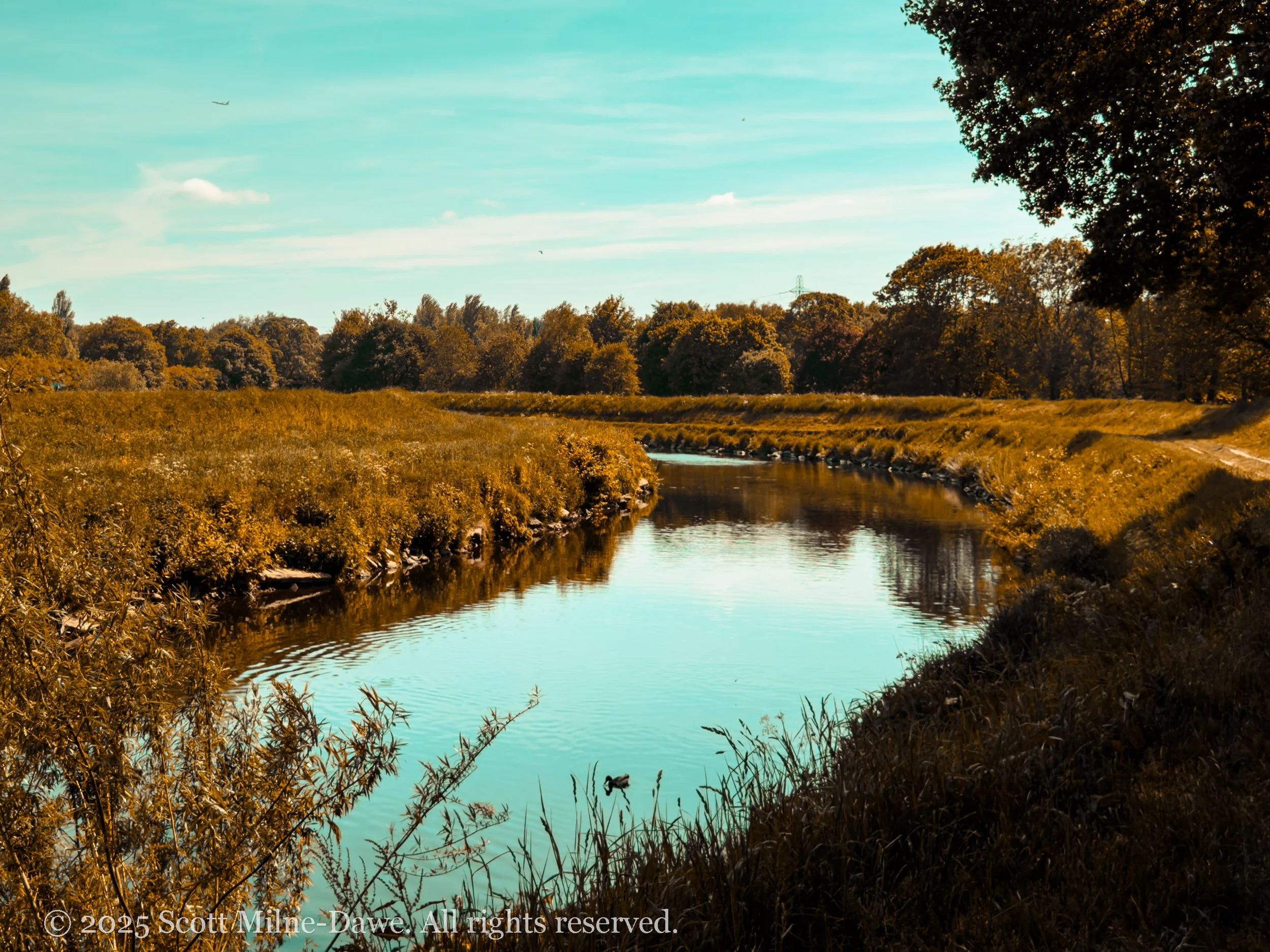 river_mersey_sunny_walk-5.jpg