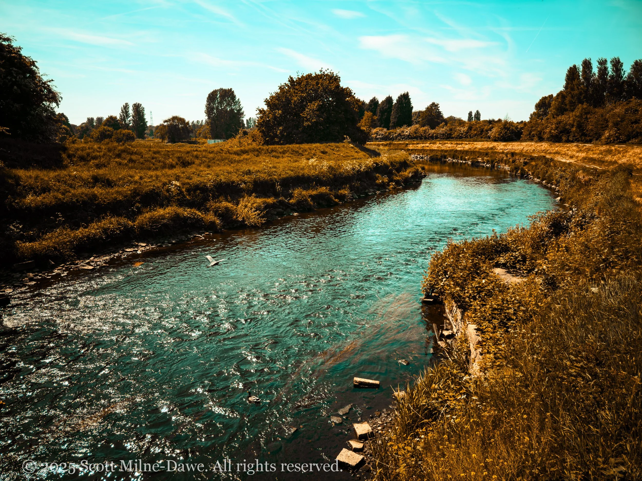 Photography Blog - 7 - Sunlight and Silt