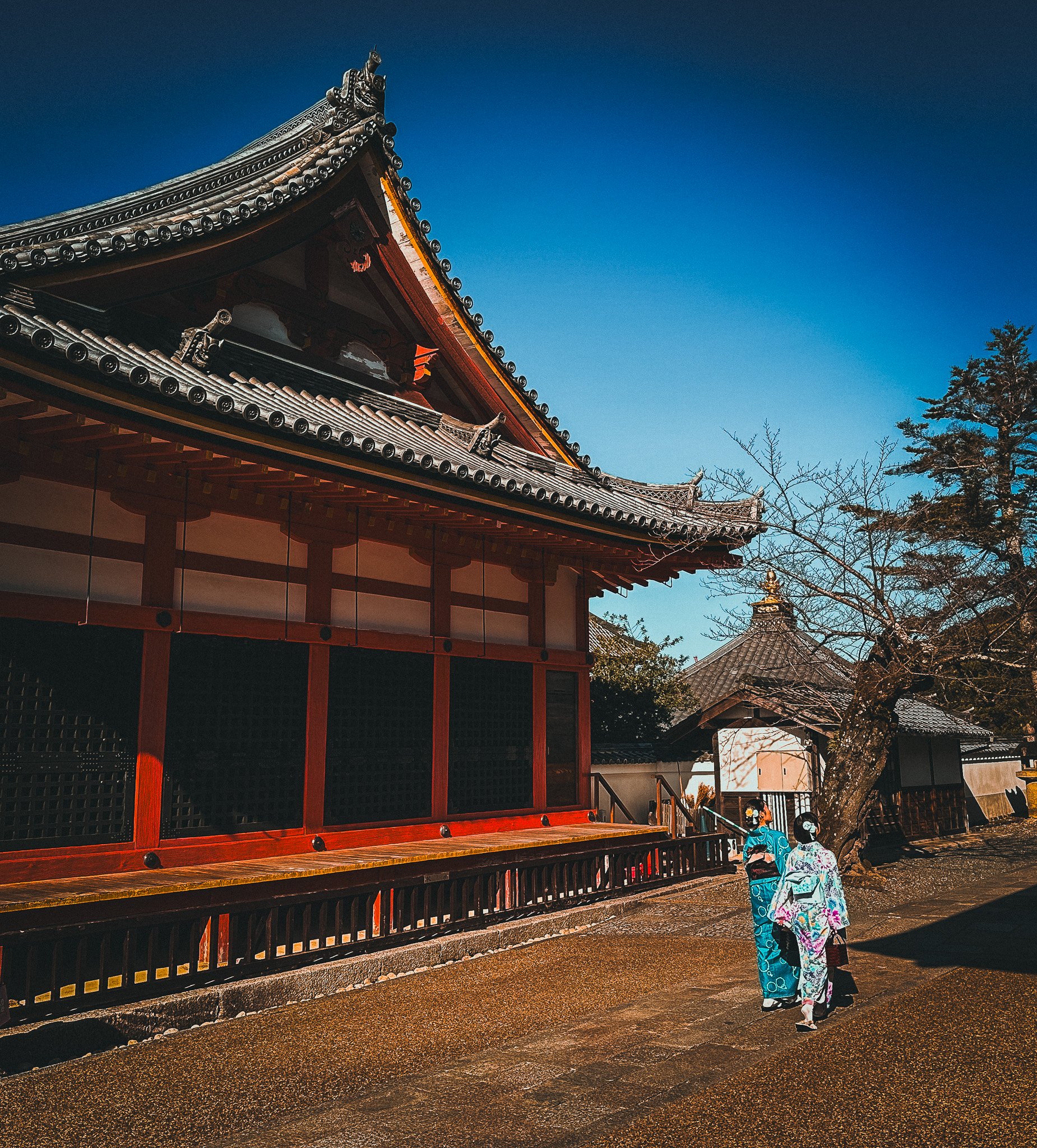 kyoto_day_2_part_1_alt-06.jpg