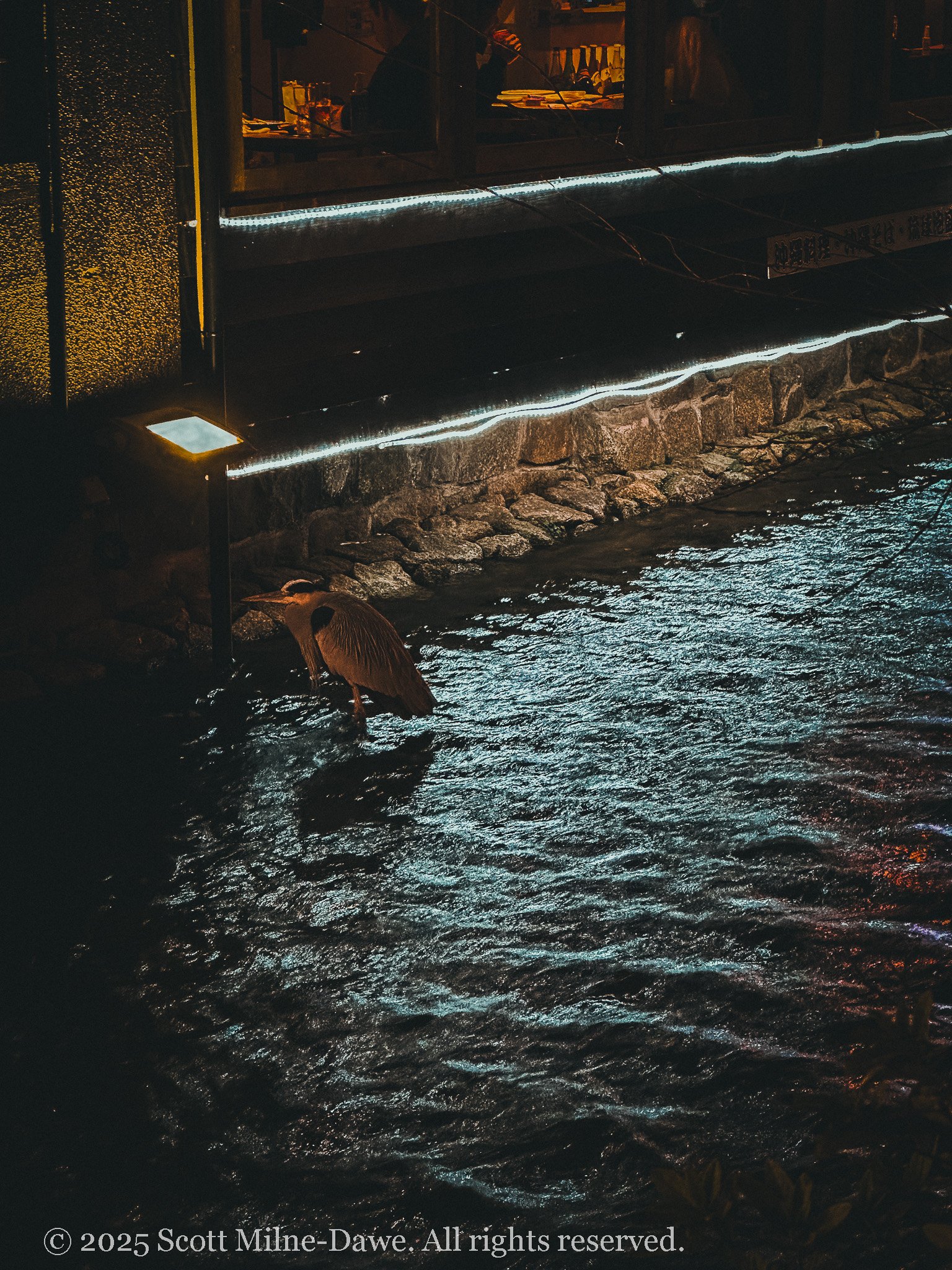 the_night_we_reached_kyoto-10.jpg