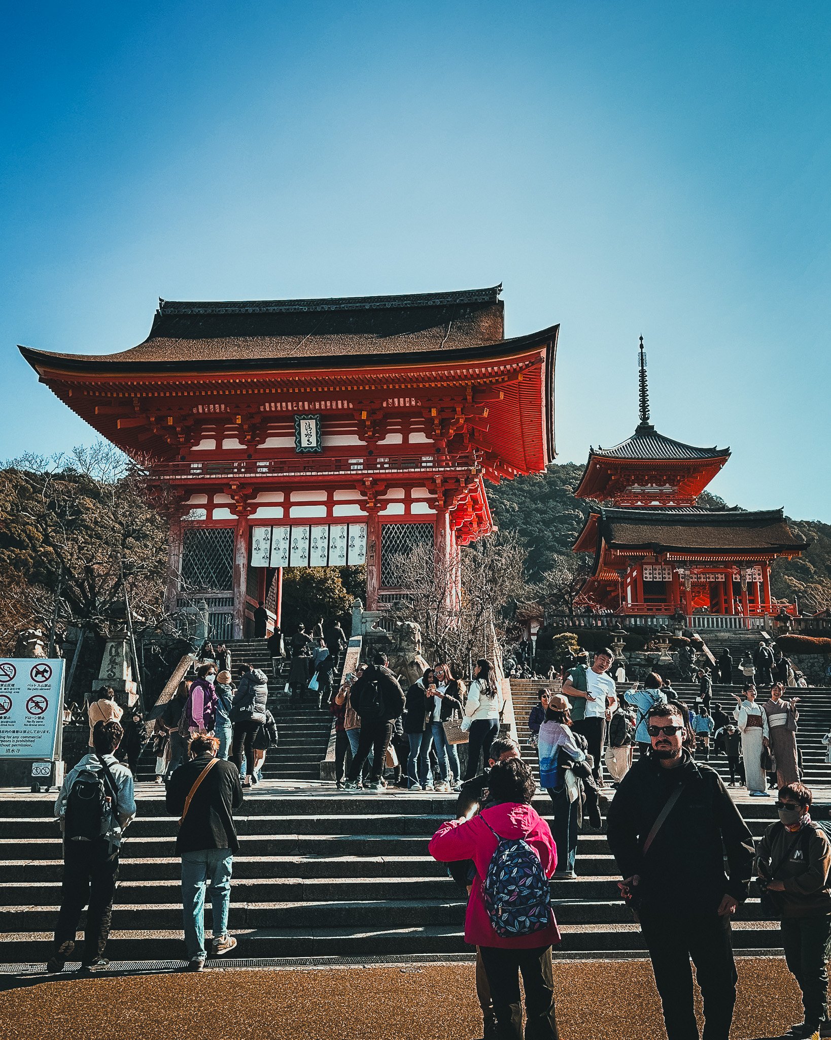 kyoto_day_2_part_1_alt-04.jpg