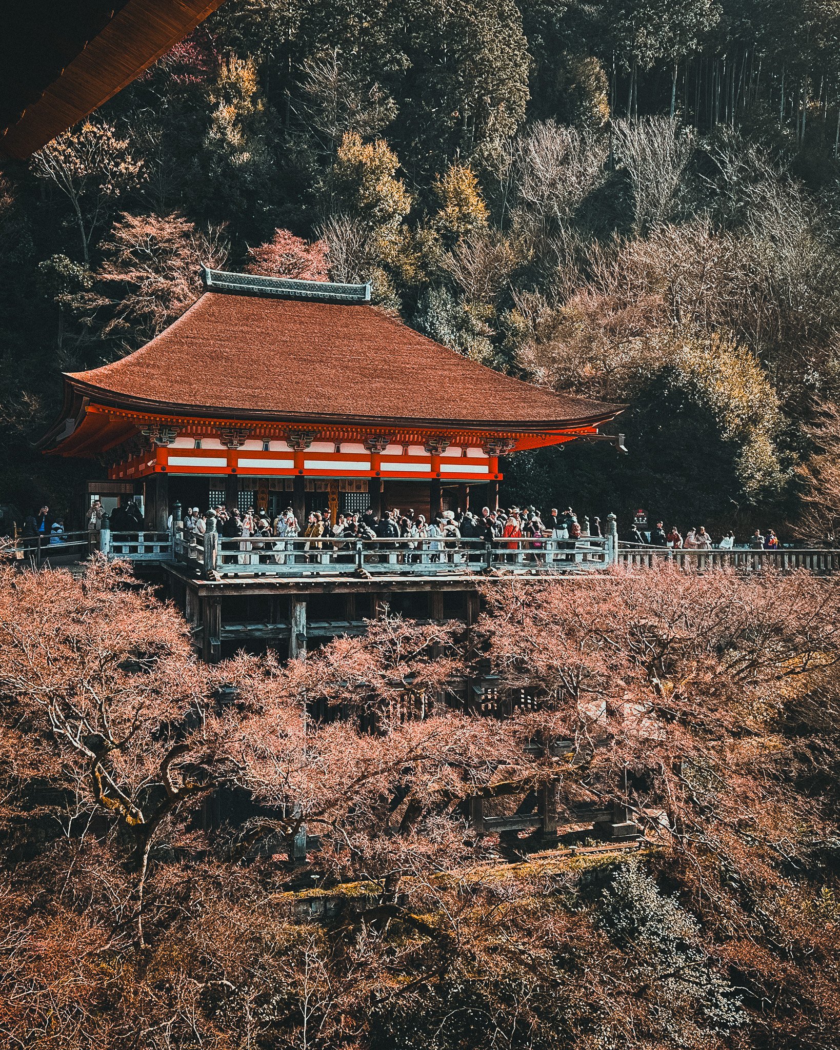 kyoto_day_2_part_1_alt-09.jpg