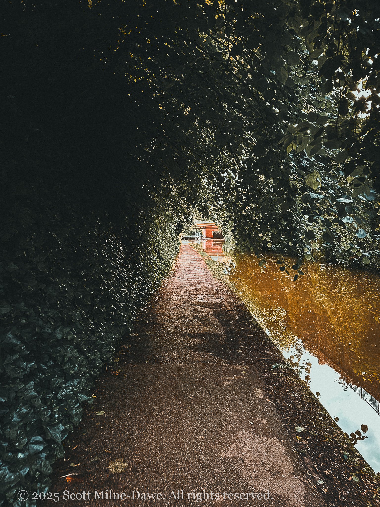 moody_chester-14.jpg
